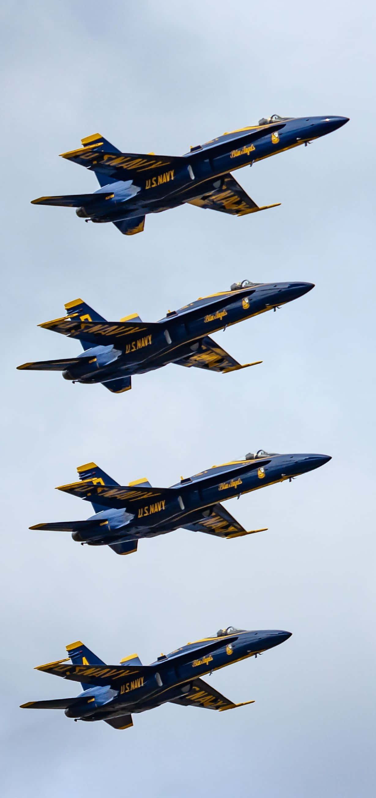 Majestuosos Blue Angels en Vuelo Fondos de pantalla