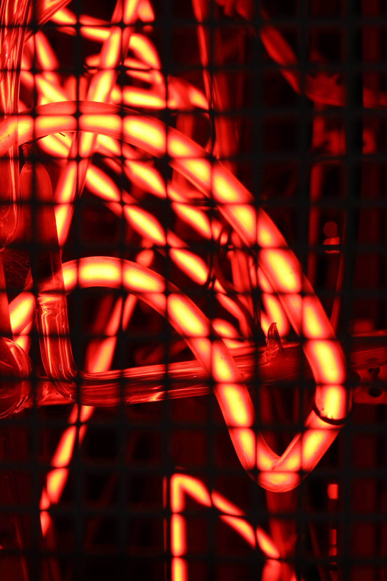 Fondo de pantalla de Malla Neón Roja