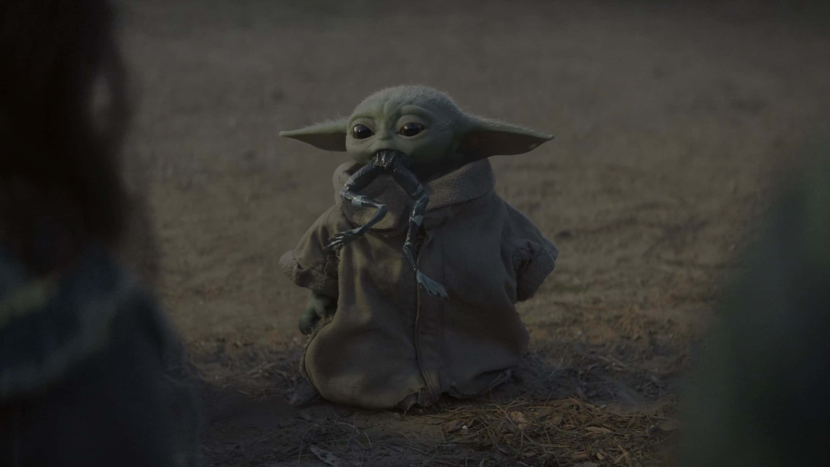 Mandaloriano Yoda Mordiendo Patas de Rana Fondos de pantalla