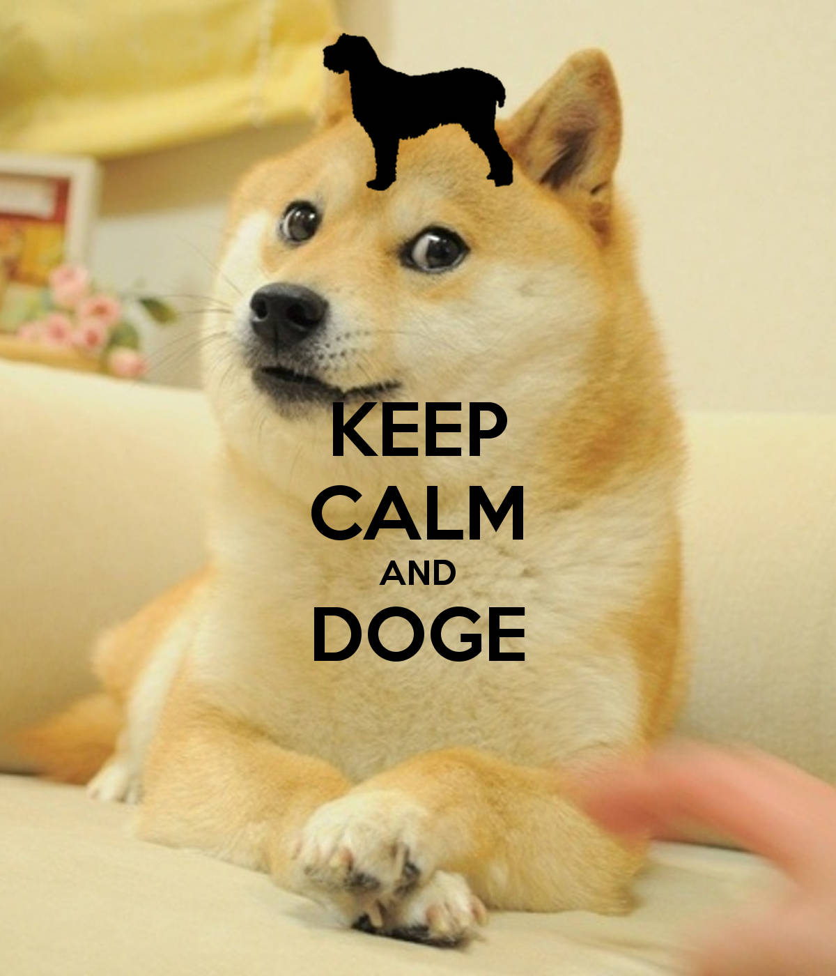 ¡Mantén la Calma y Doge On! Fondos de pantalla