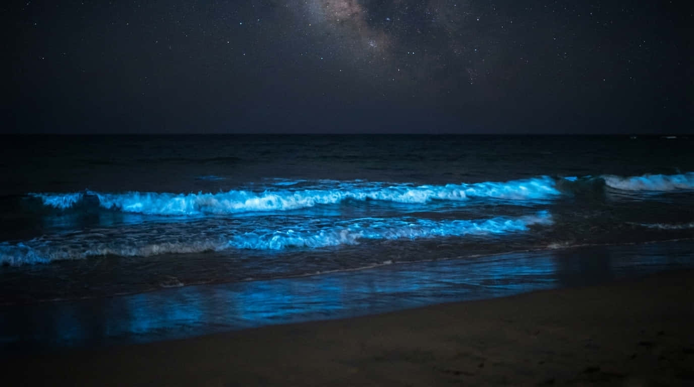 Océano nocturno 4K, olas azules en la noche, fondo de pantalla de océano nocturno, playa con vía láctea, playa brillante, olas bioluminiscentes, Naturaleza 4K, Naturaleza, Playa, Fondo de Mar, Mar