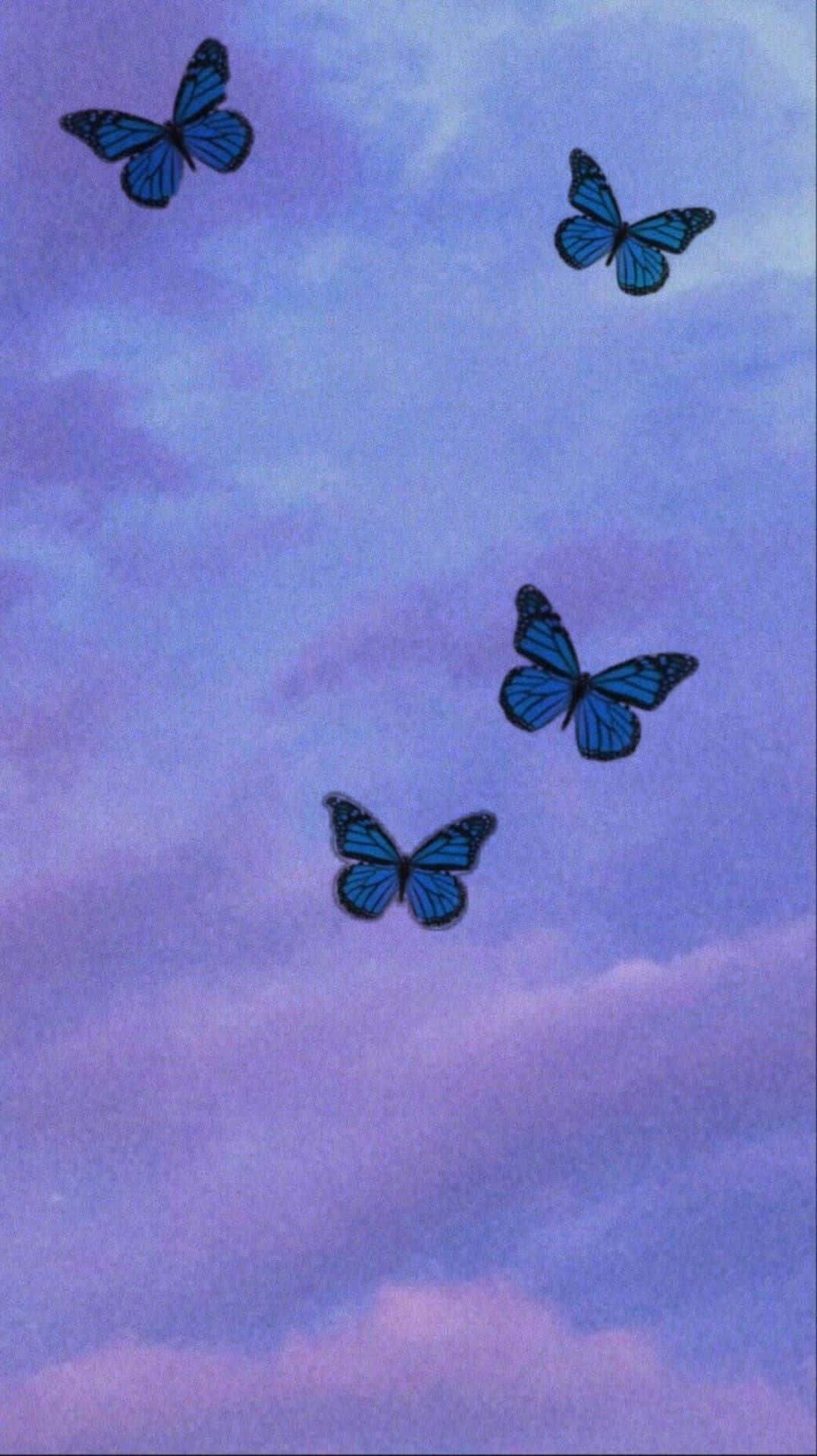 Maravilloso Mundo de Mariposas Encantadoras Fondos de pantalla