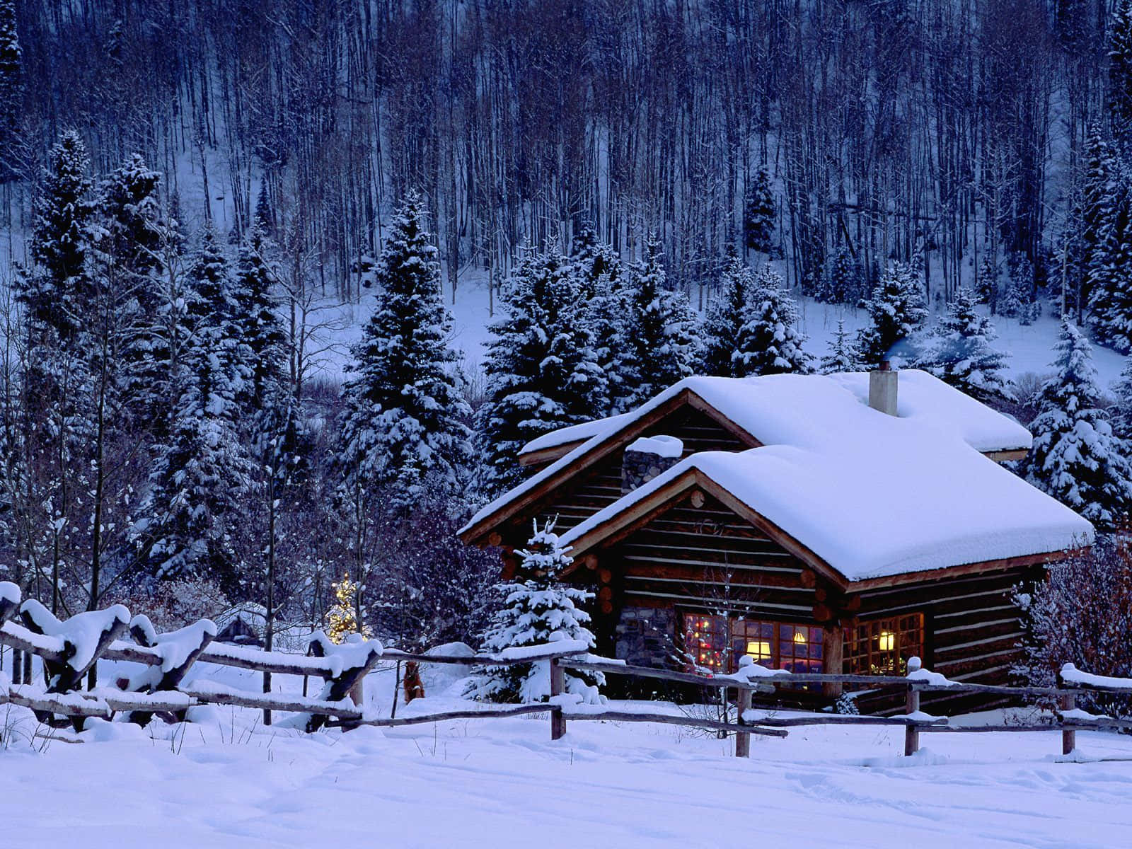 Maravilloso Paraíso Invernal Fondos de pantalla