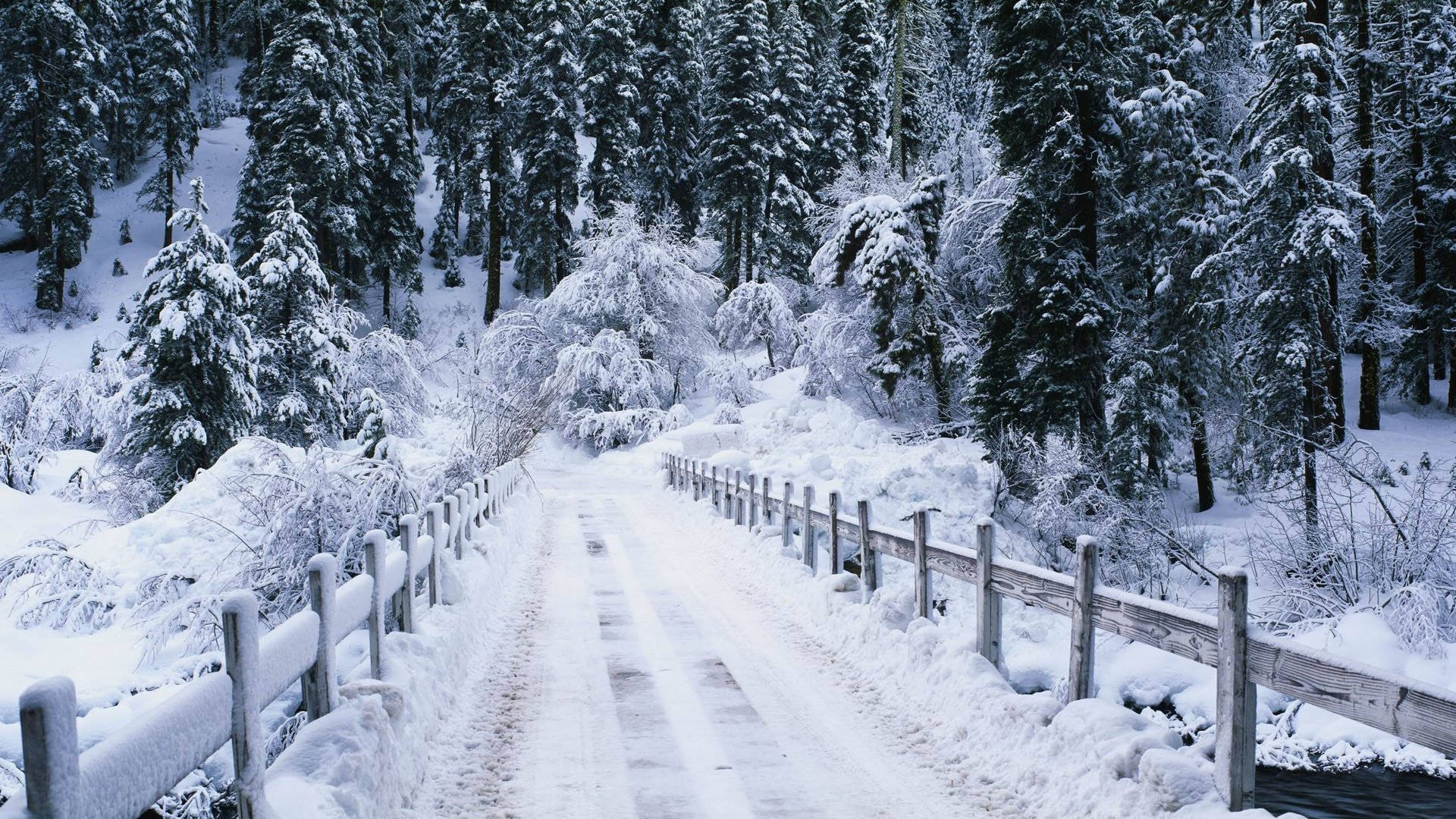 Marcas de derrape en la nieve estética Fondos de pantalla
