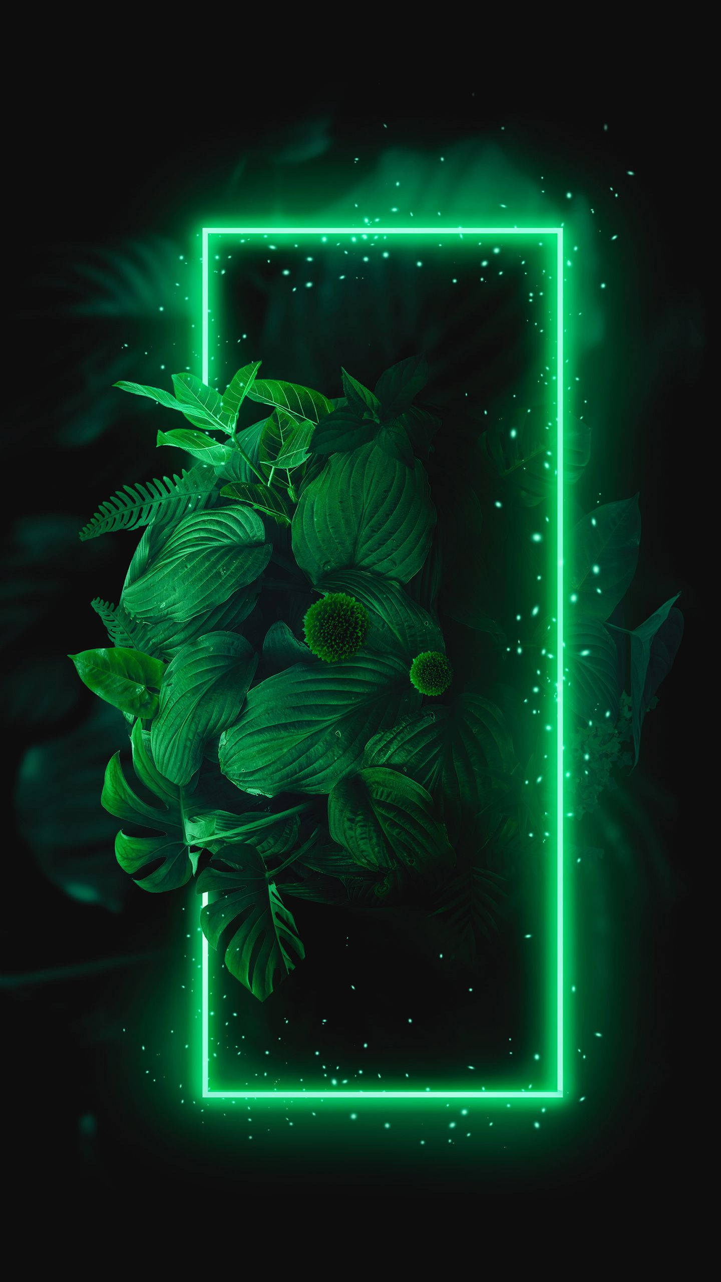 Marco Brillante con Plantas Verde para iPhone Fondos de pantalla