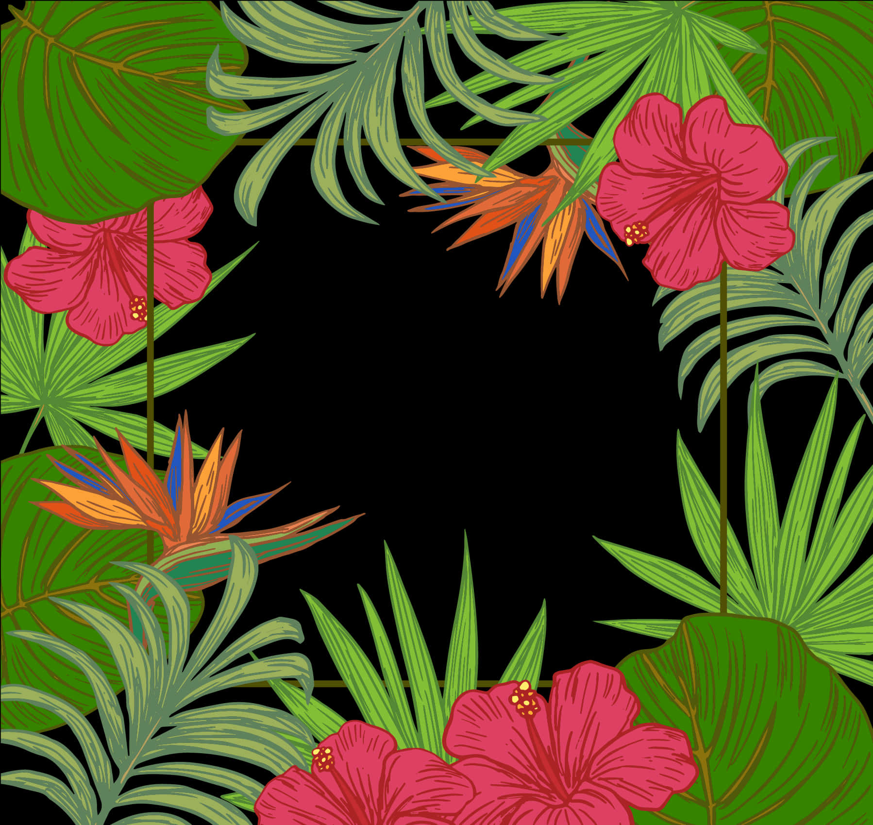 Marco Floral Tropical Fondo Negro Fondos de pantalla