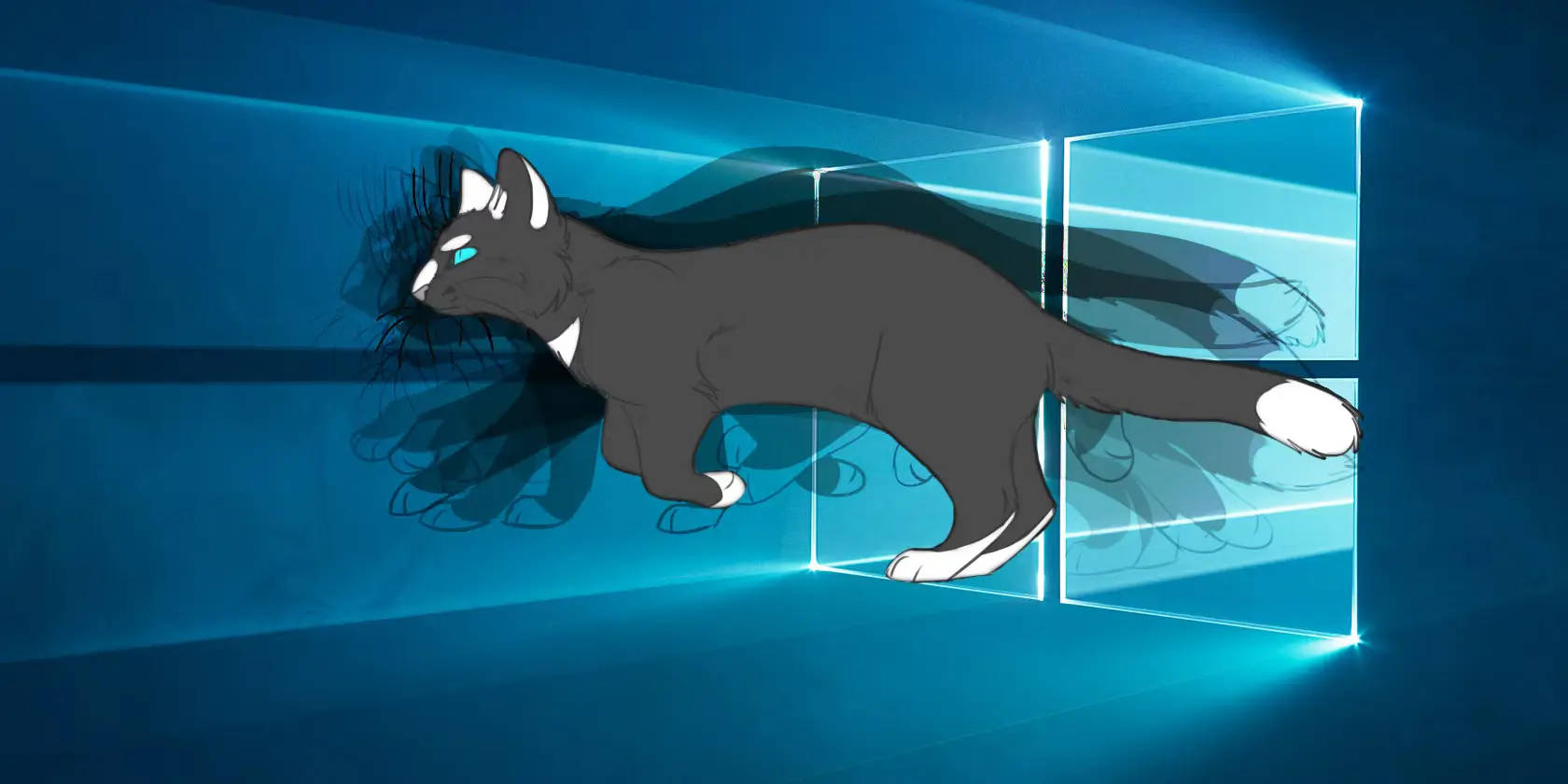 Marcos Interactivos de Gato Fondos de pantalla