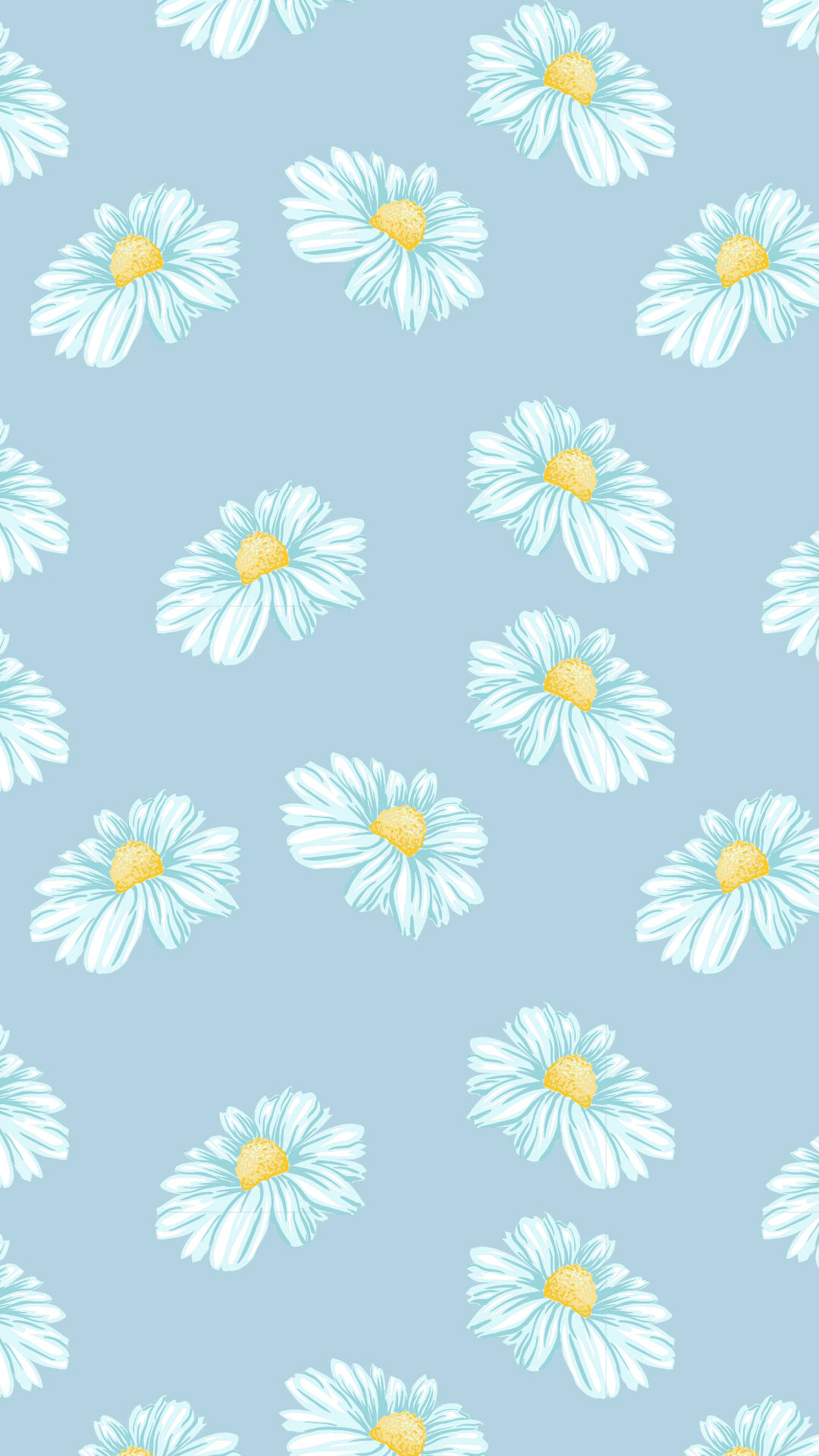 Margaritas Estéticas Hermosas Fondos de pantalla
