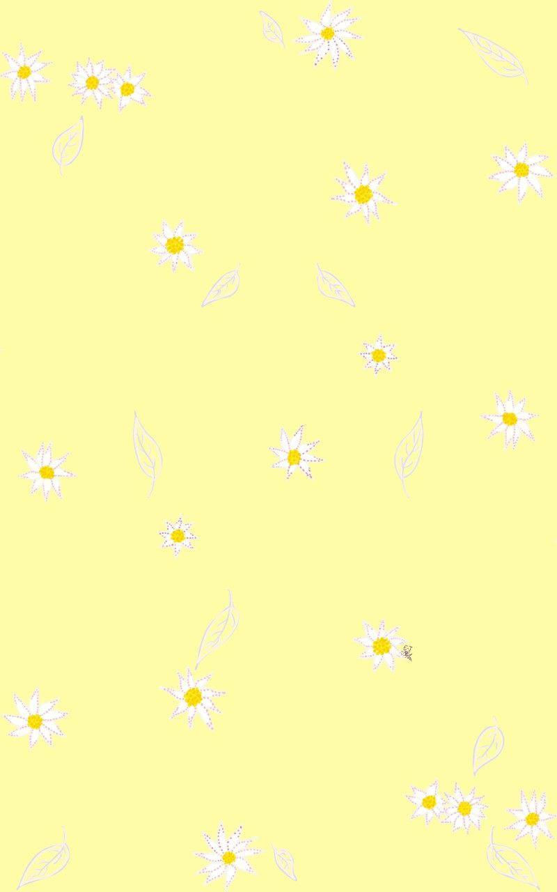 Margaritas sobre un fondo amarillo pastel estético y lindo Fondos de pantalla