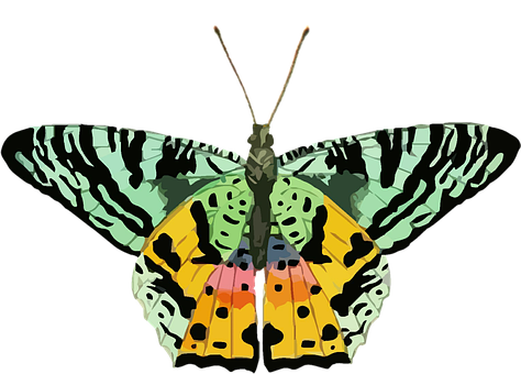 Mariposa abstracta colorida Fondos de pantalla