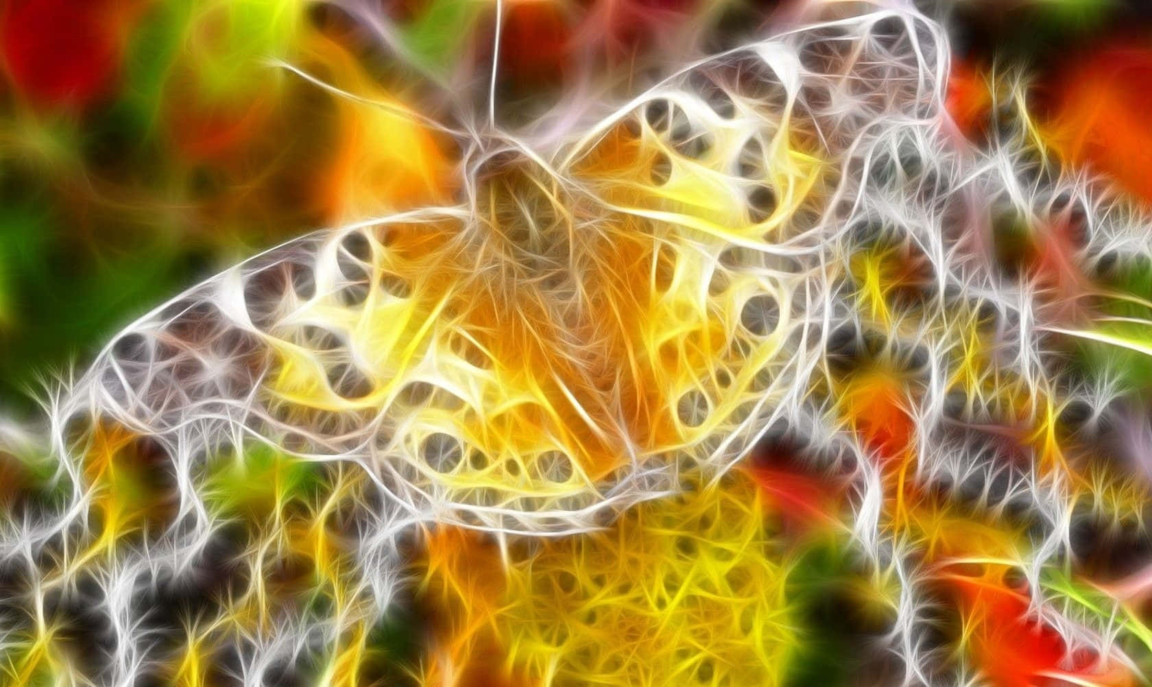 Mariposa amarillo dorado neón Fondos de pantalla