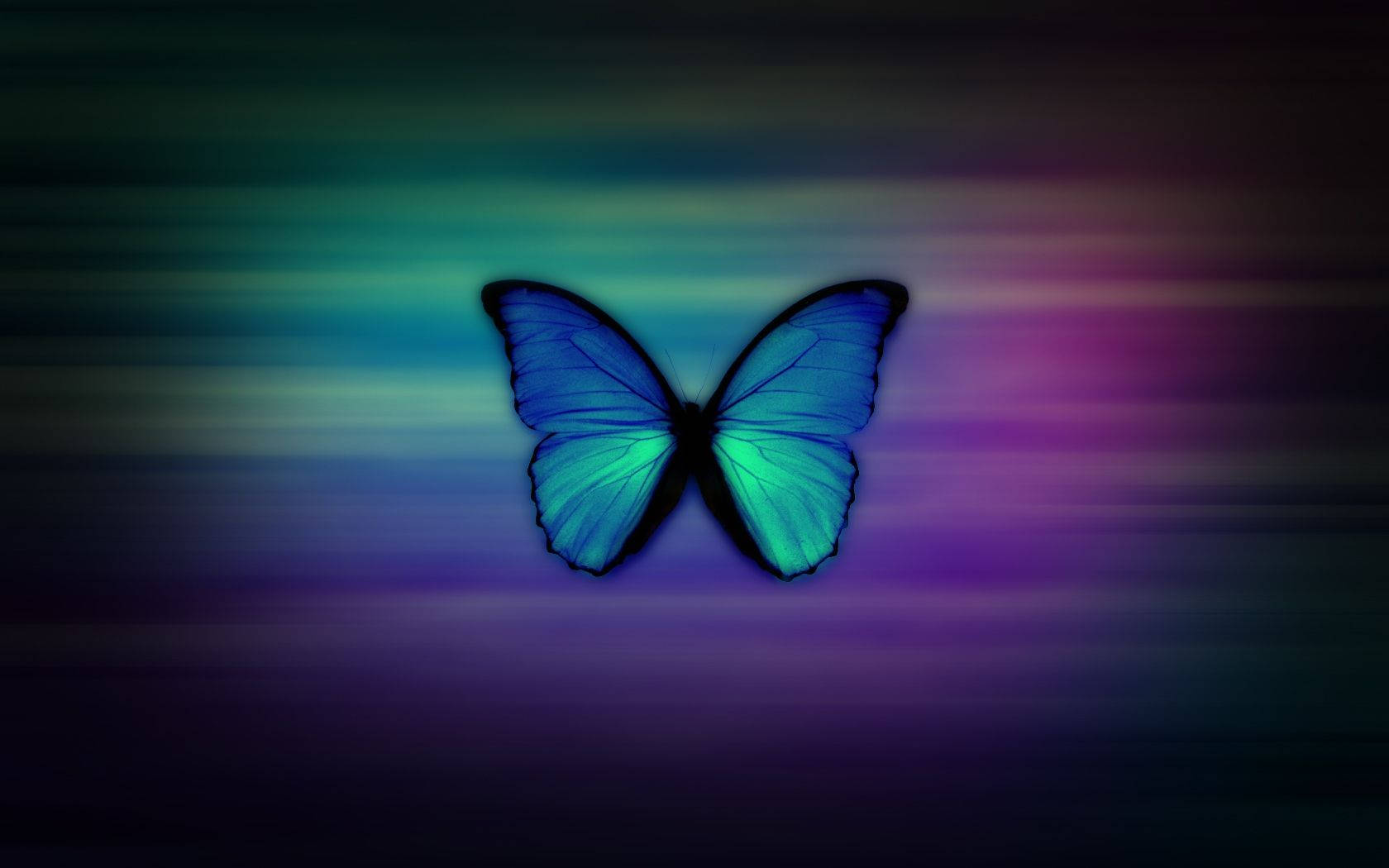Mariposa Azul Auténtica