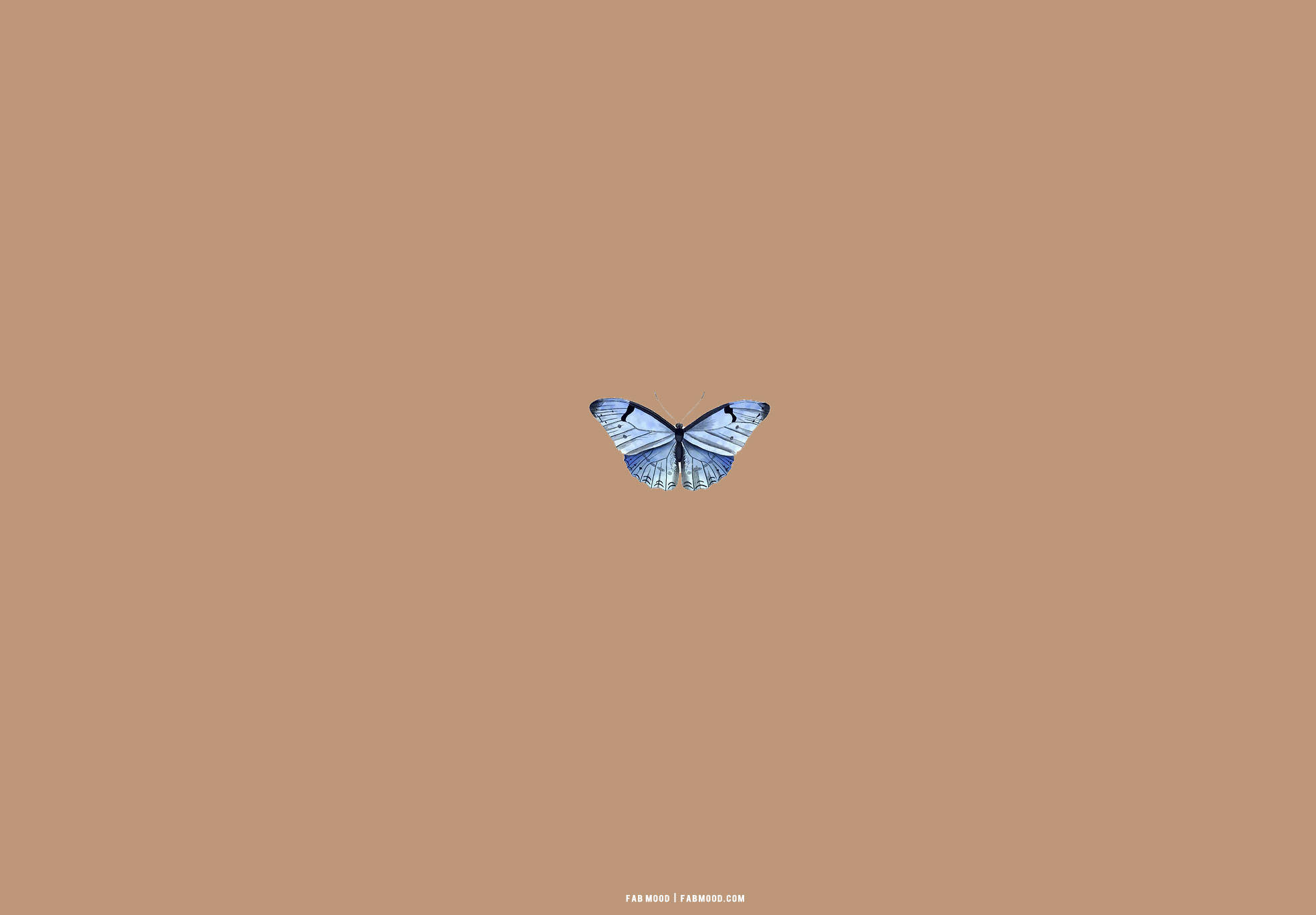 Mariposa Azul Estética Beige Marrón Fondos de pantalla