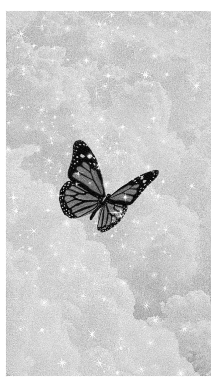 Mariposa Blanca y Negra Estética y Linda en un Cielo Brillante Fondos de pantalla