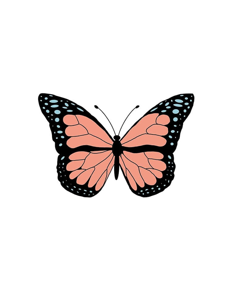 Mariposa colorida revolotea entre flores vibrantes Fondos de pantalla