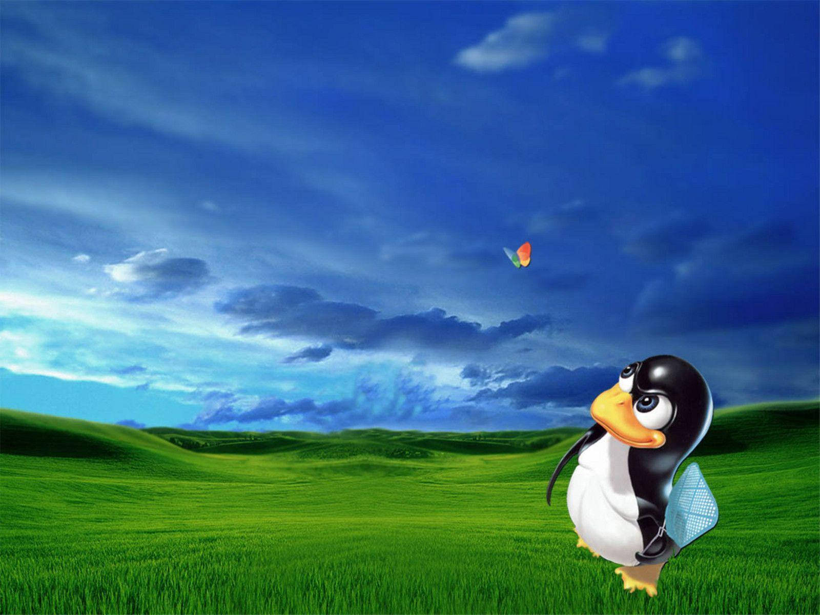 Mariposa de MSN con Tux Fondos de pantalla