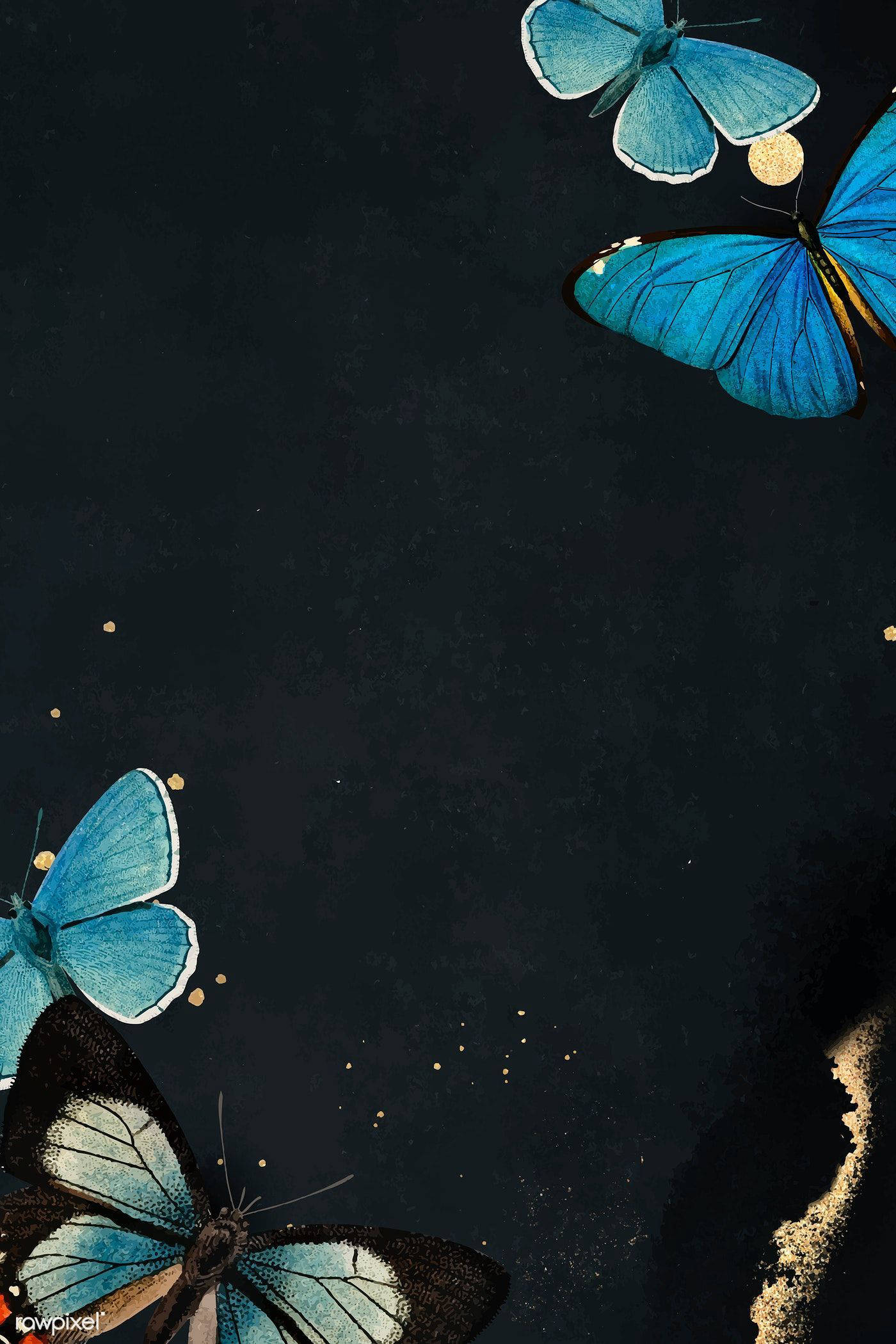 Mariposa Estética Alas Azules Fondos de pantalla