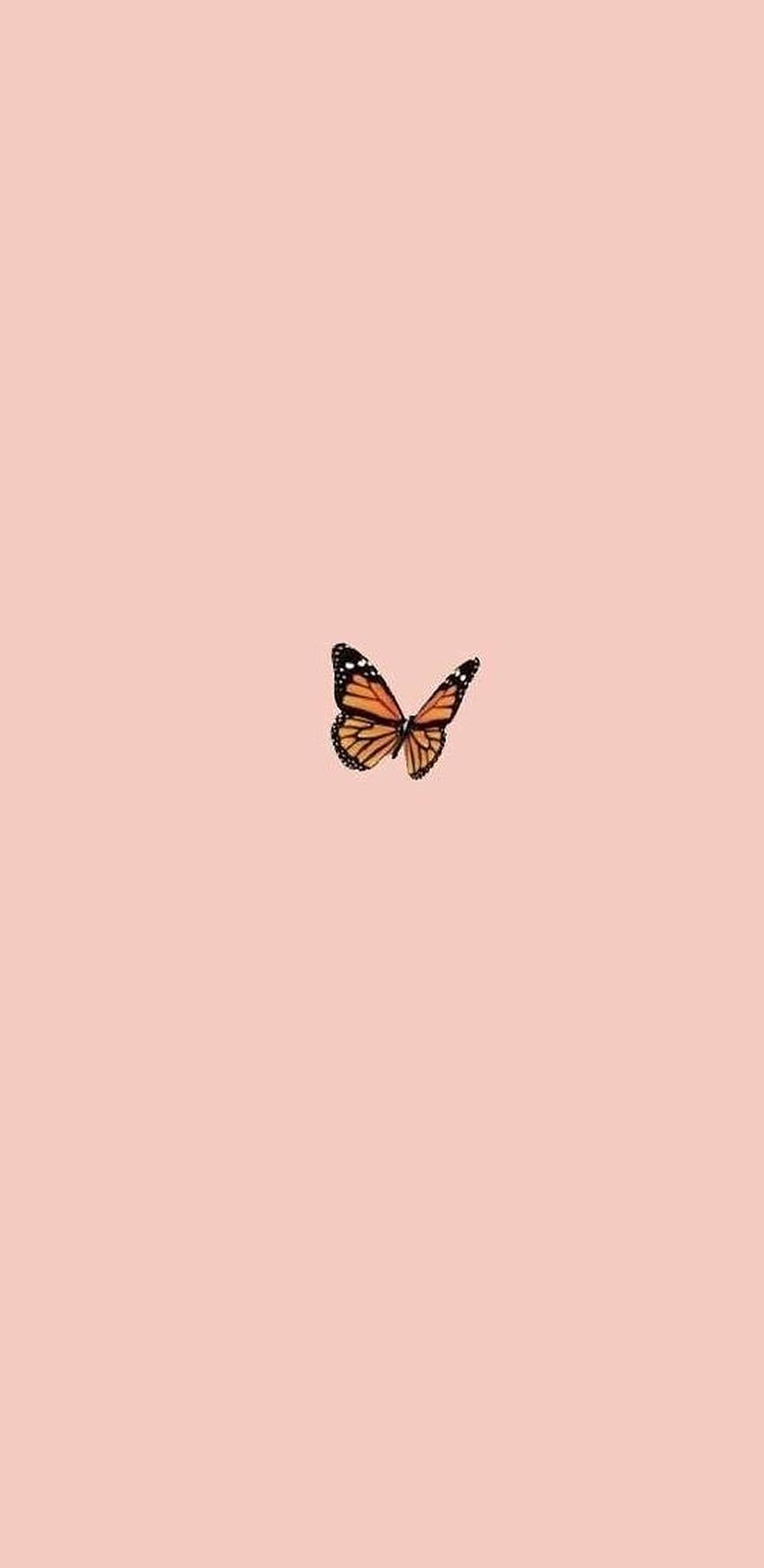 Mariposa estética para iPhone Fondos de pantalla