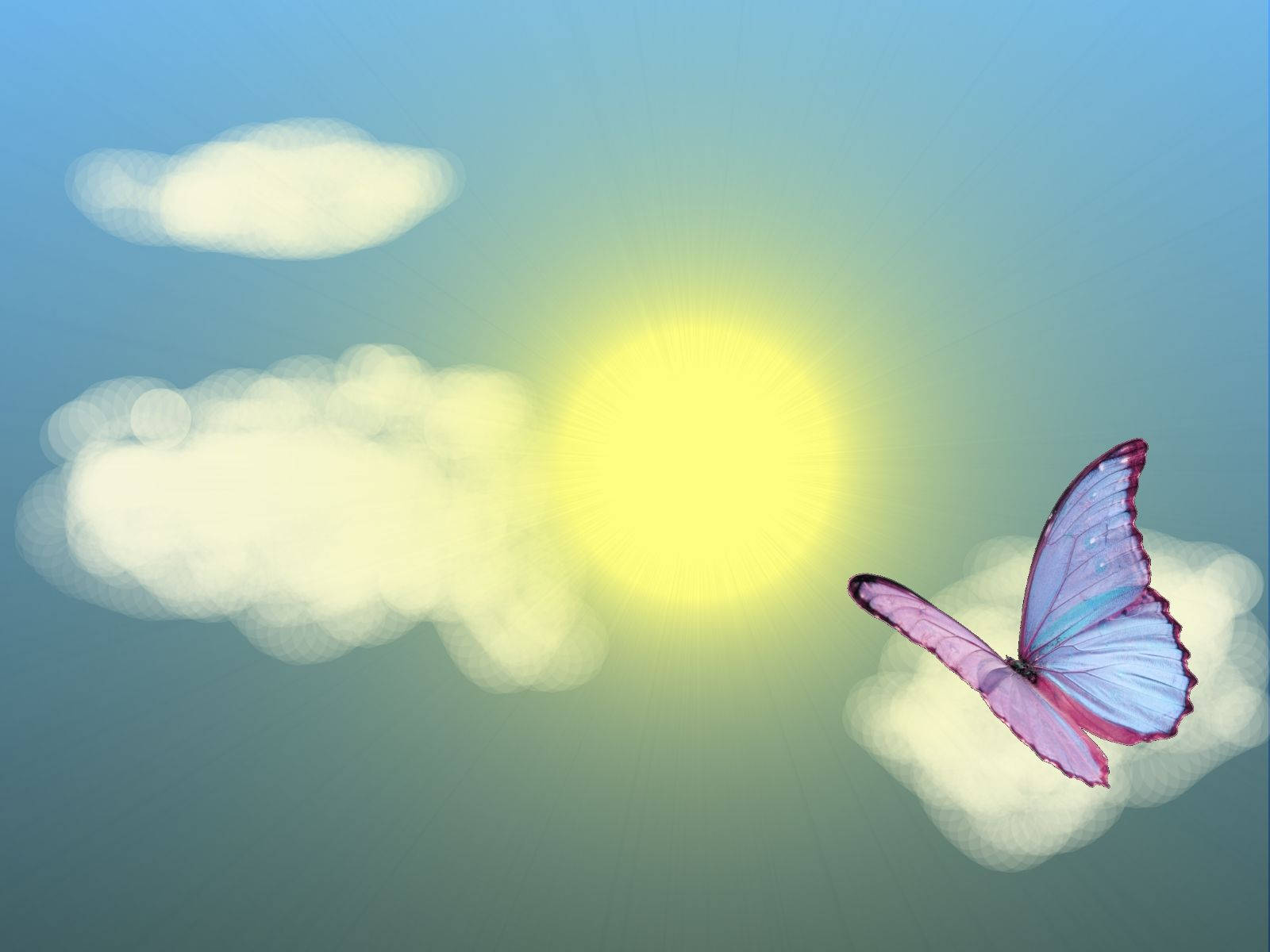 Mariposa flotante estética de verano Fondos de pantalla