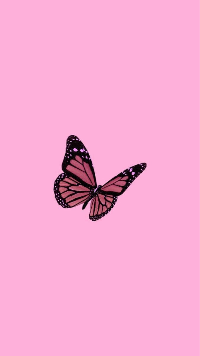 Mariposa Monarca Rosa Estética Y2K Fondos de pantalla