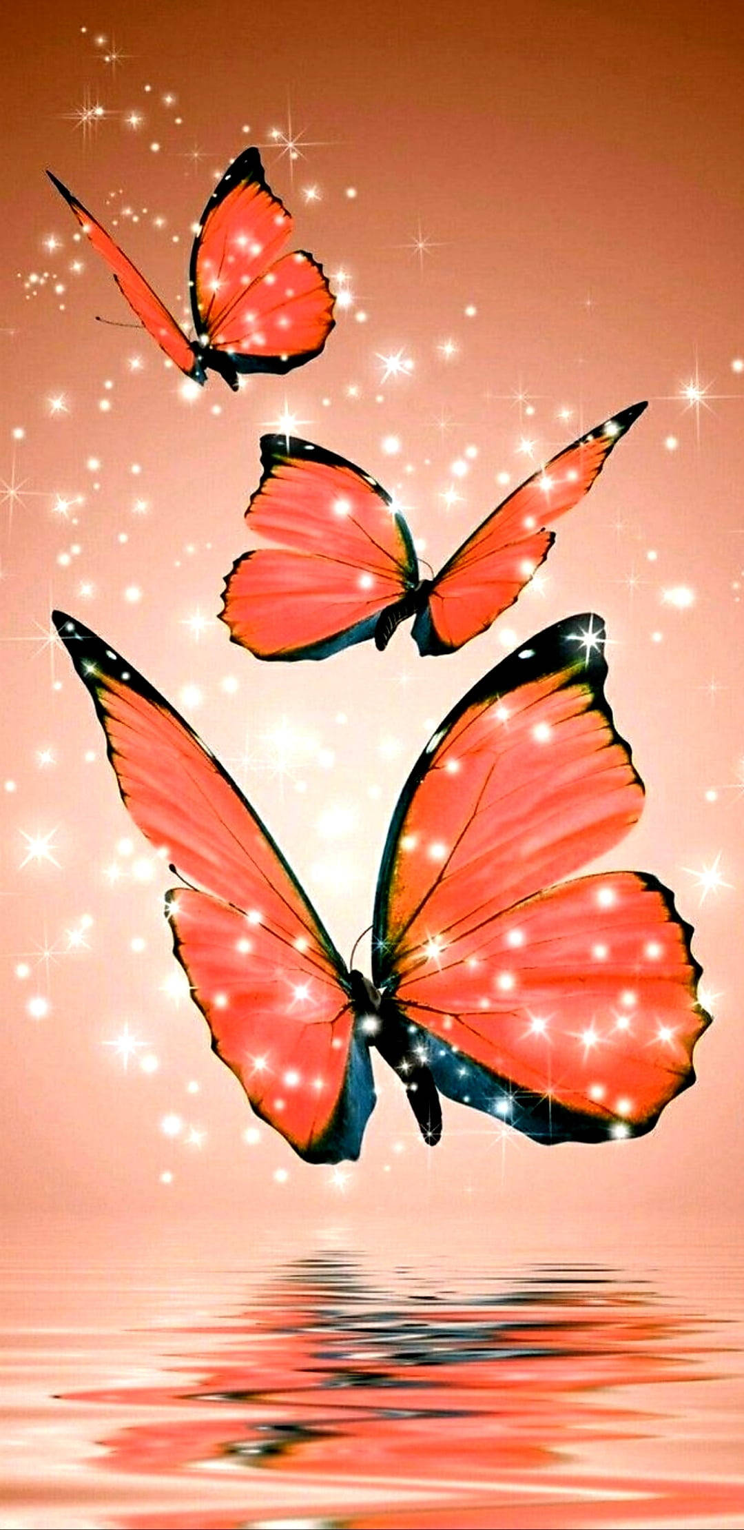 Mariposa Naranja Estética Brillante Fondos de pantalla