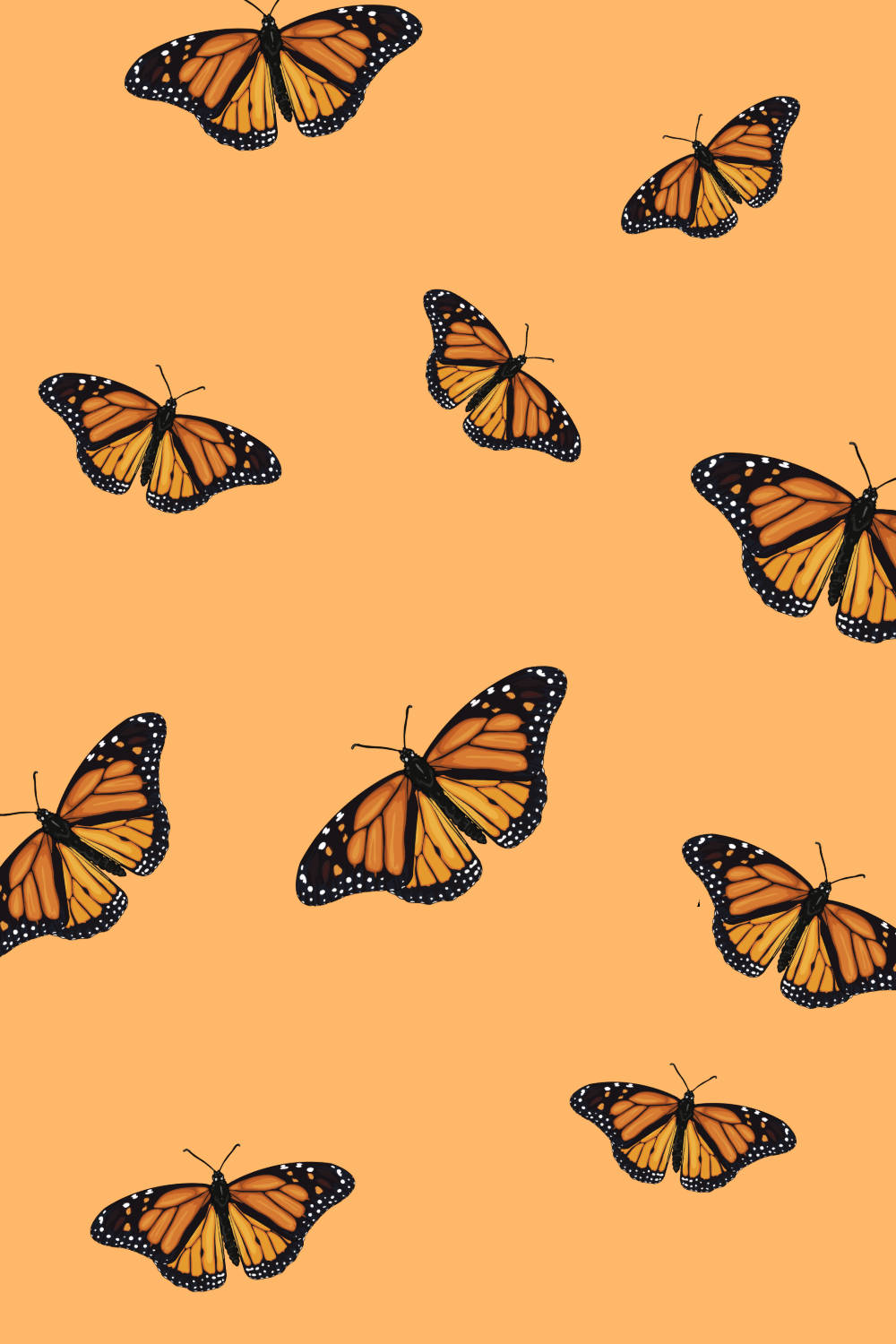 Mariposa naranja estética combinando con naranja Fondos de pantalla