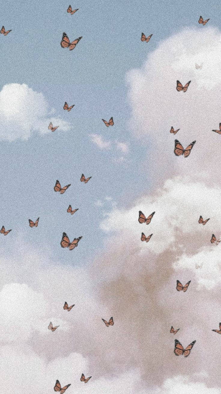 Mariposas de Estética Suave Fondos de pantalla