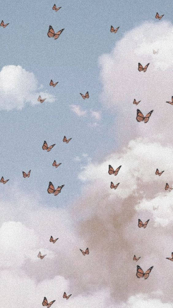 Mariposas Estéticas para Fondo de Pantalla Fondos de pantalla