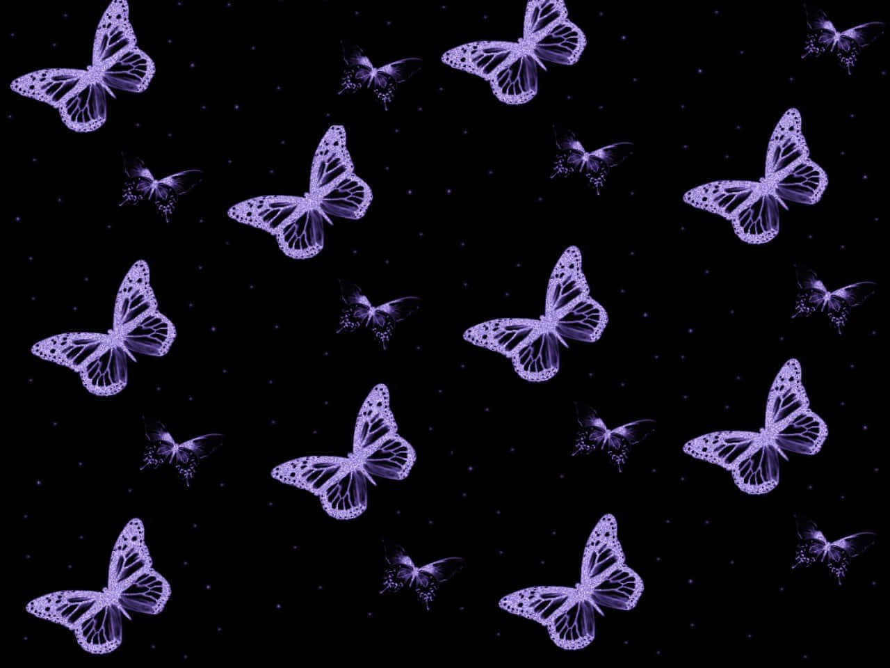 mariposas moradas sobre fondo negro Fondos de pantalla