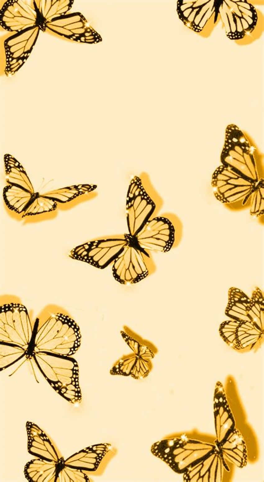 Mariposas negras y amarillas lindas Fondos de pantalla