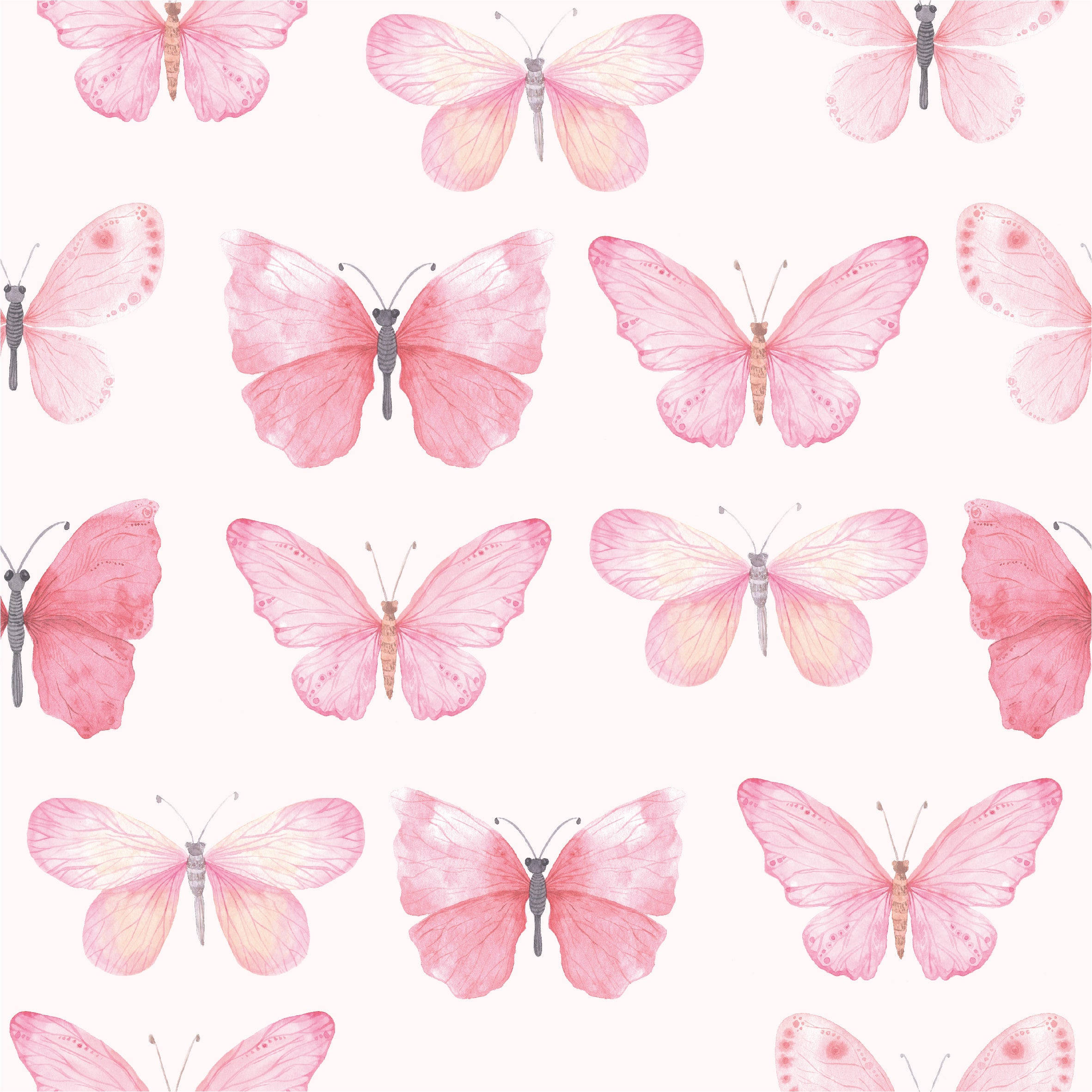 Mariposas pastel en tonos rosas Fondos de pantalla