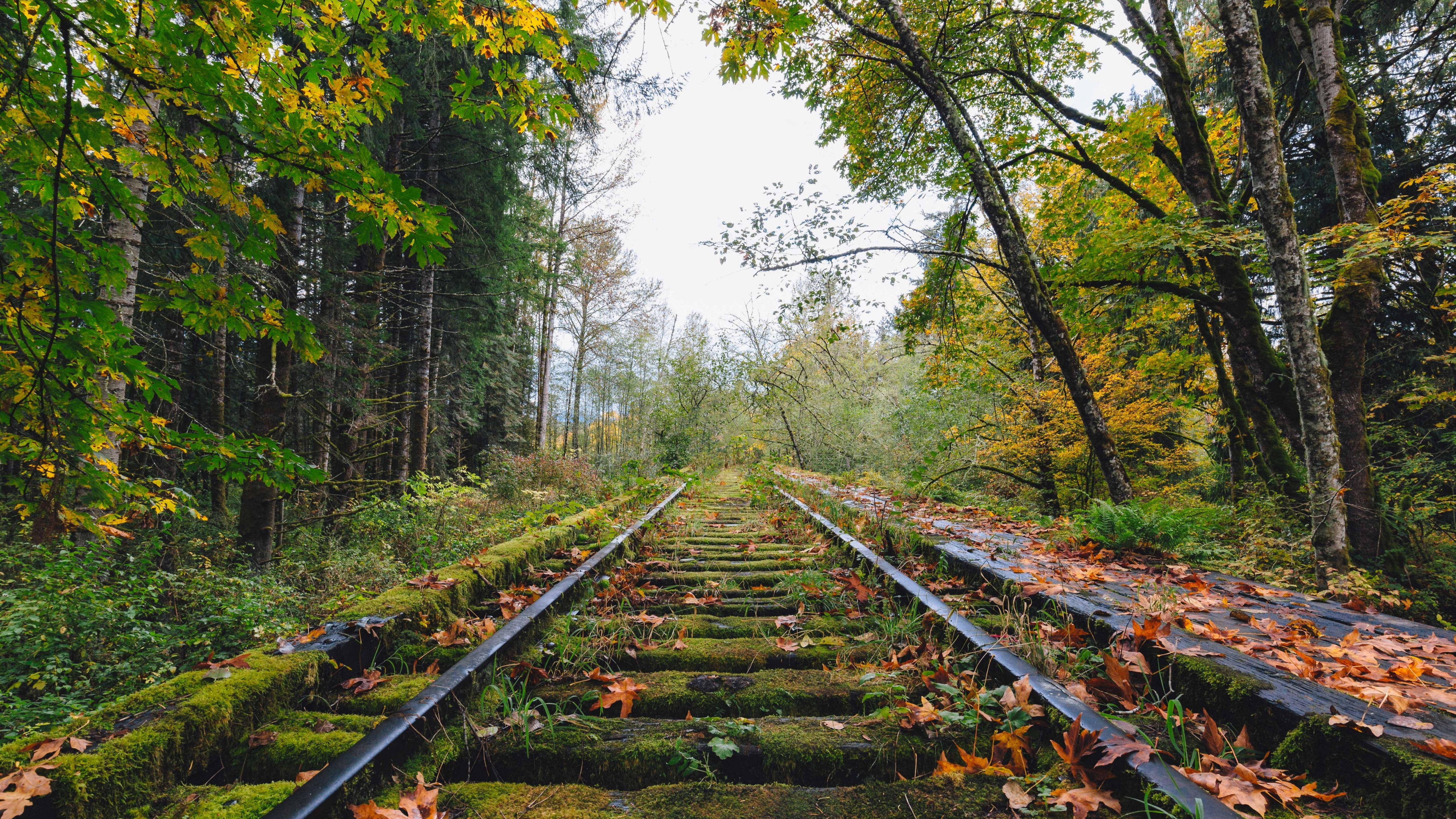 Mejor Vía de Tren Abandonada en 4K UHD Fondos de pantalla
