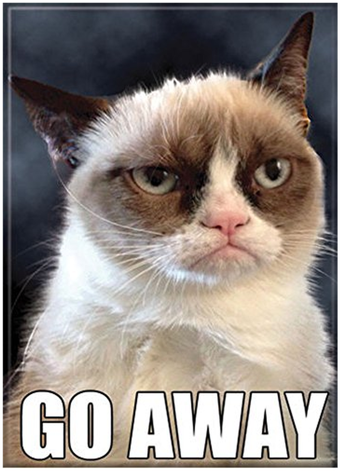 Meme de Gato Gruñón Vete Fondos de pantalla