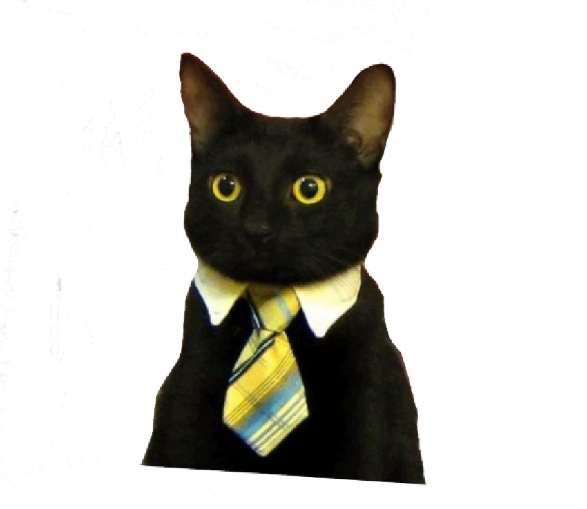Meme del Gato Ejecutivo.PNG Fondos de pantalla