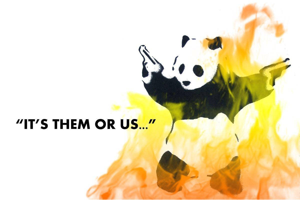 Meme del Panda Loco en Llamas Fondos de pantalla