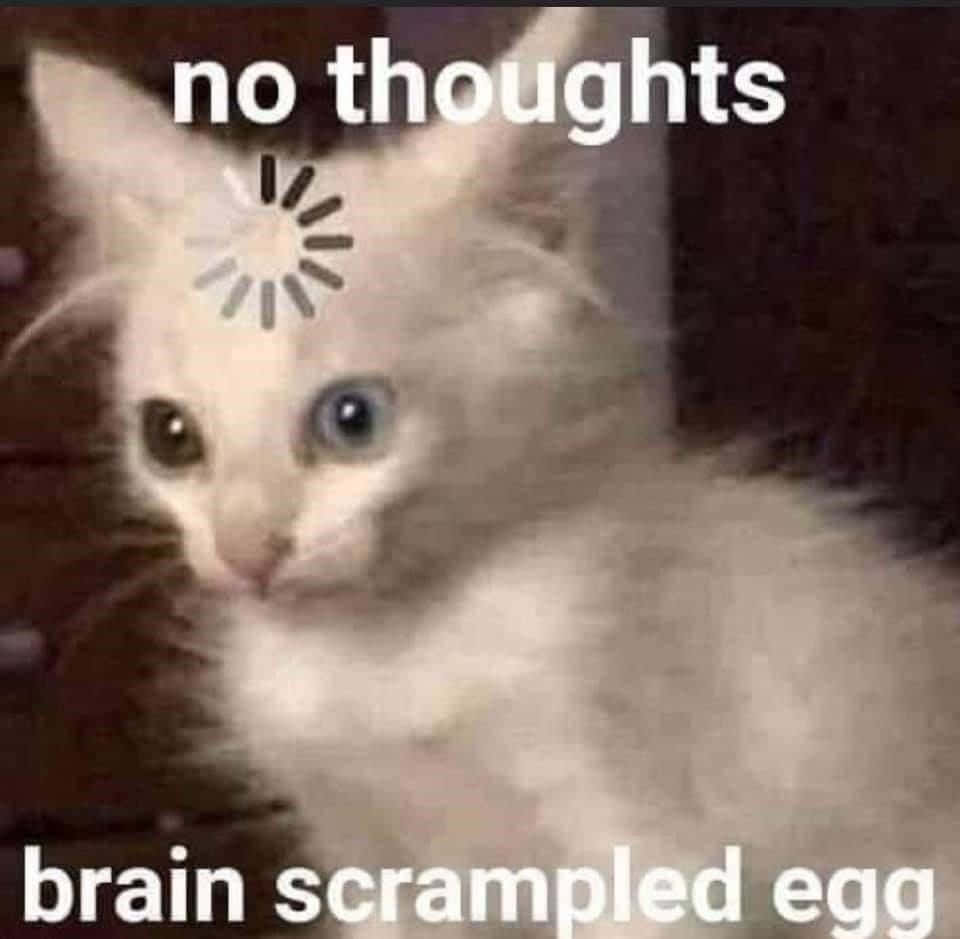 Memes Divertidos Gato Pensando Icono de Carga Fondos de pantalla