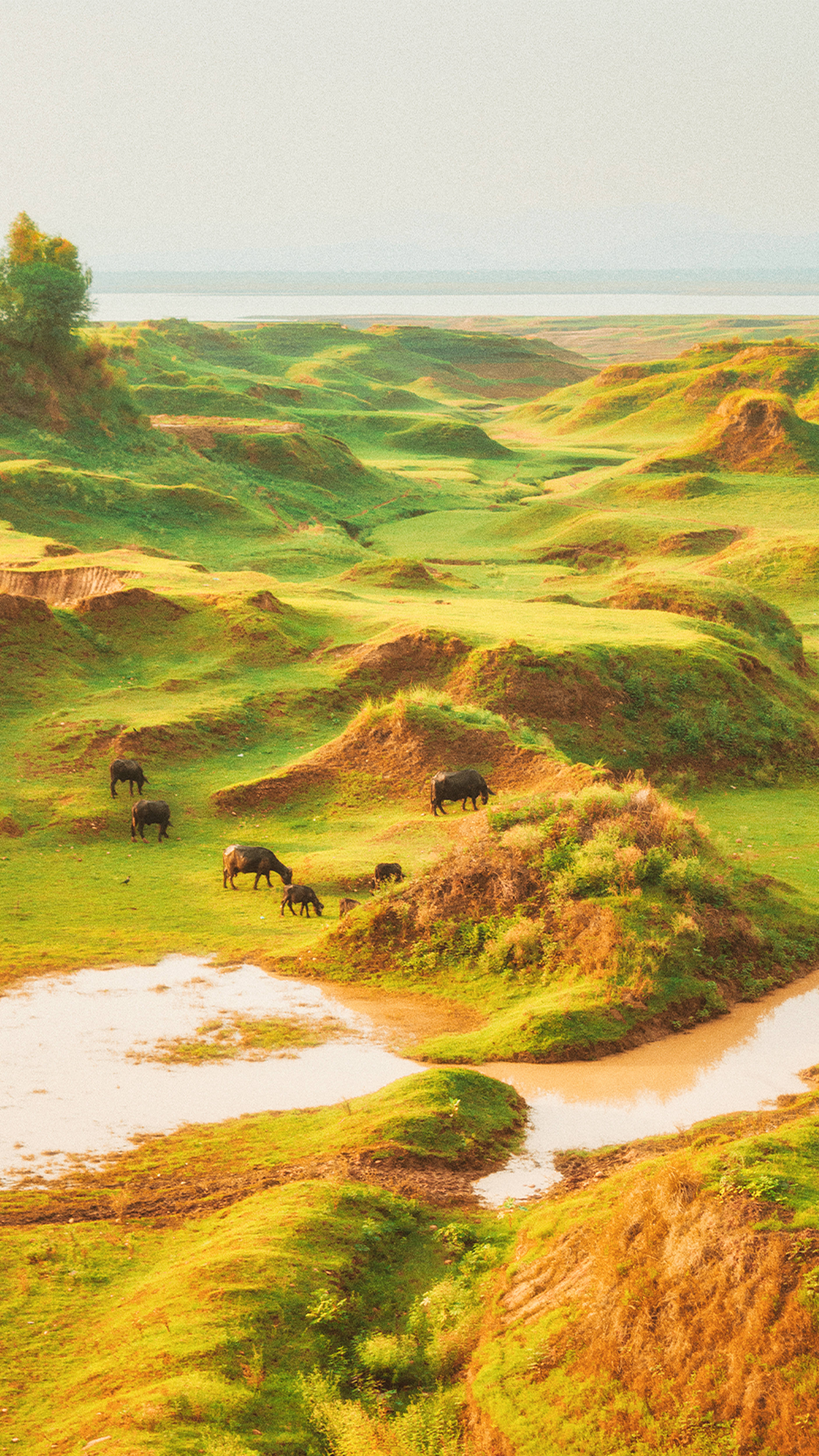 Meseta Estética Cottagecore Fondos de pantalla