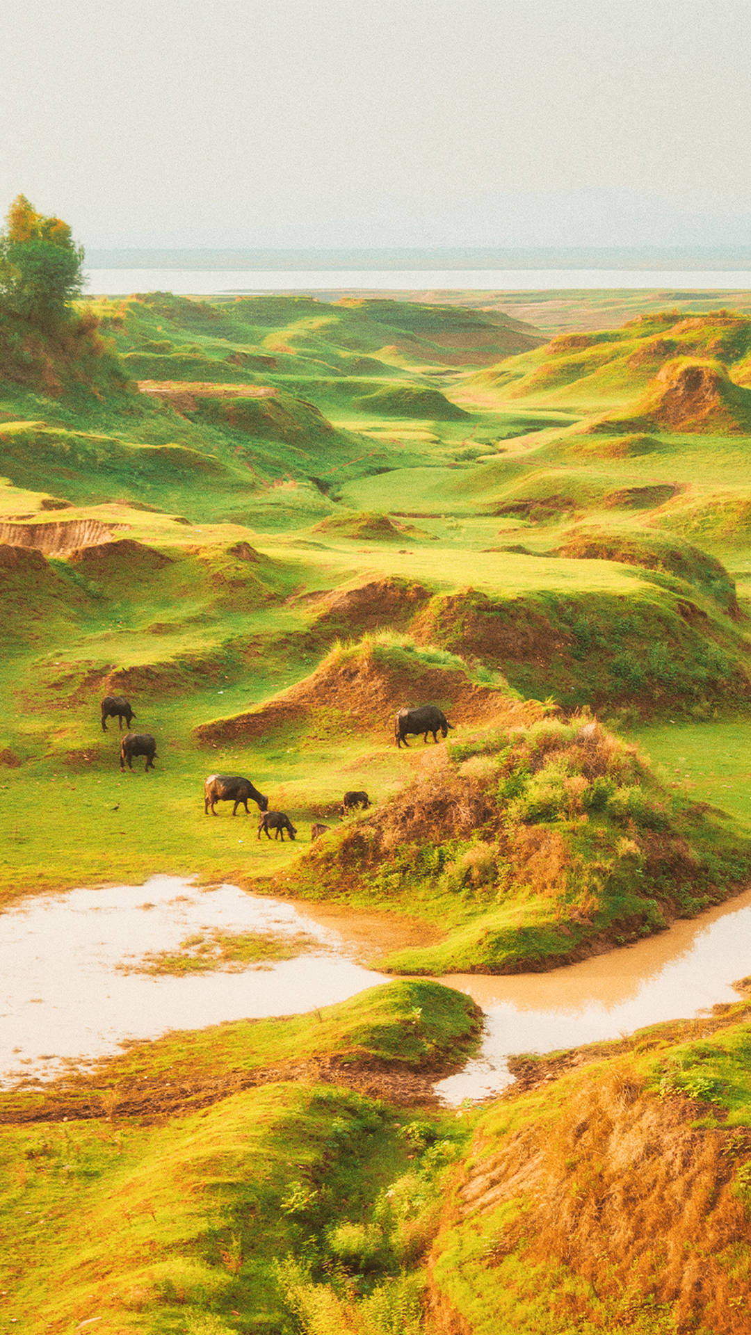 Meseta Estética Cottagecore Fondos de pantalla