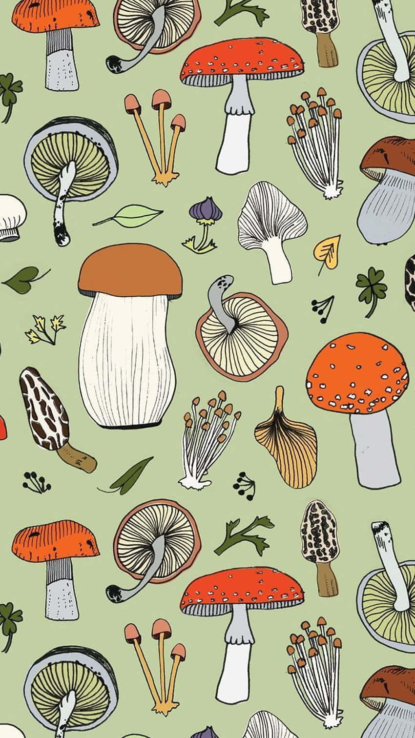Mezcla Vintage de Hongos y Flora Adorable en Verde Salvia Fondos de pantalla