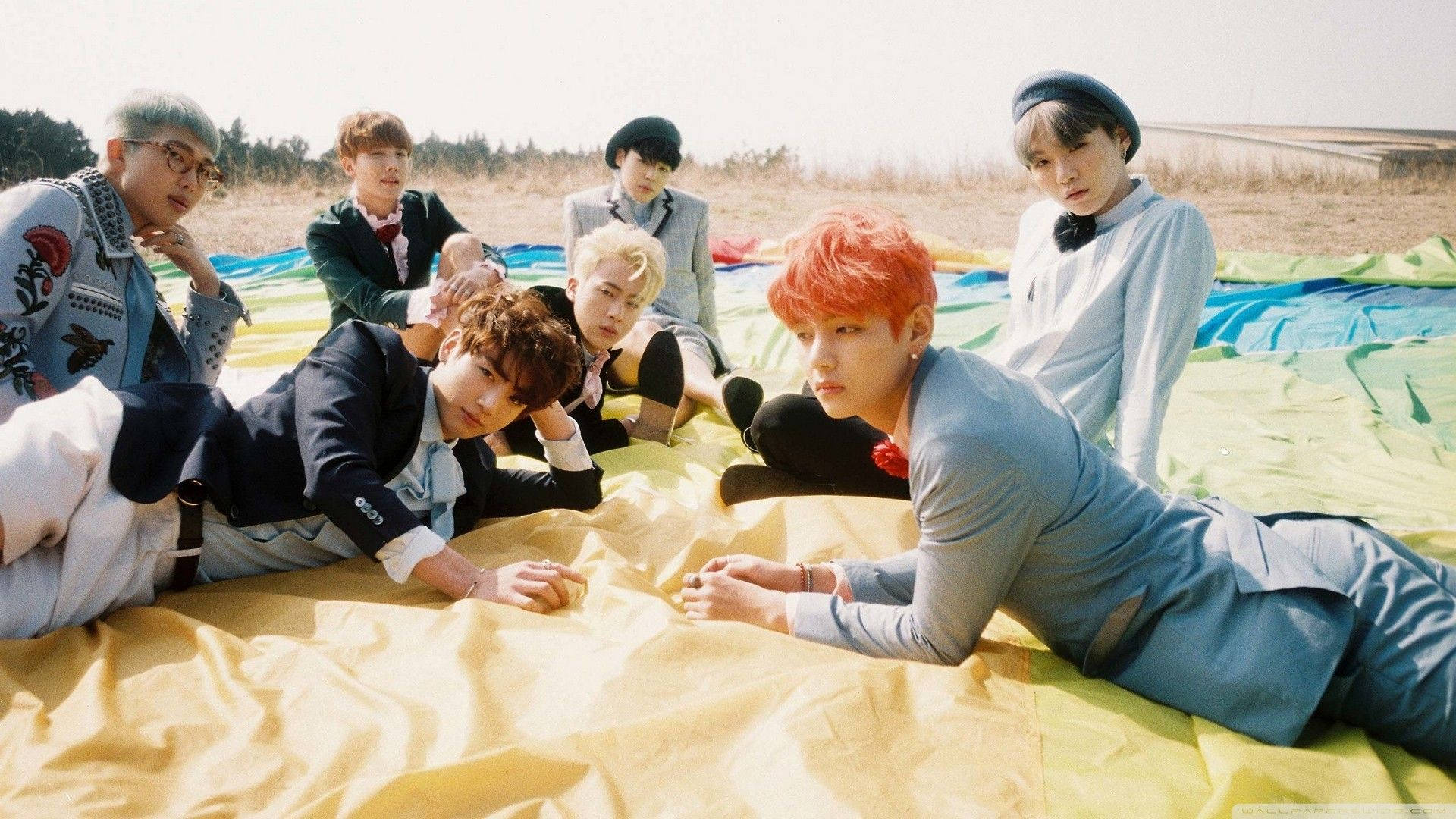 Miembros de BTS Recostados en el Campo con Laptop Fondos de pantalla
