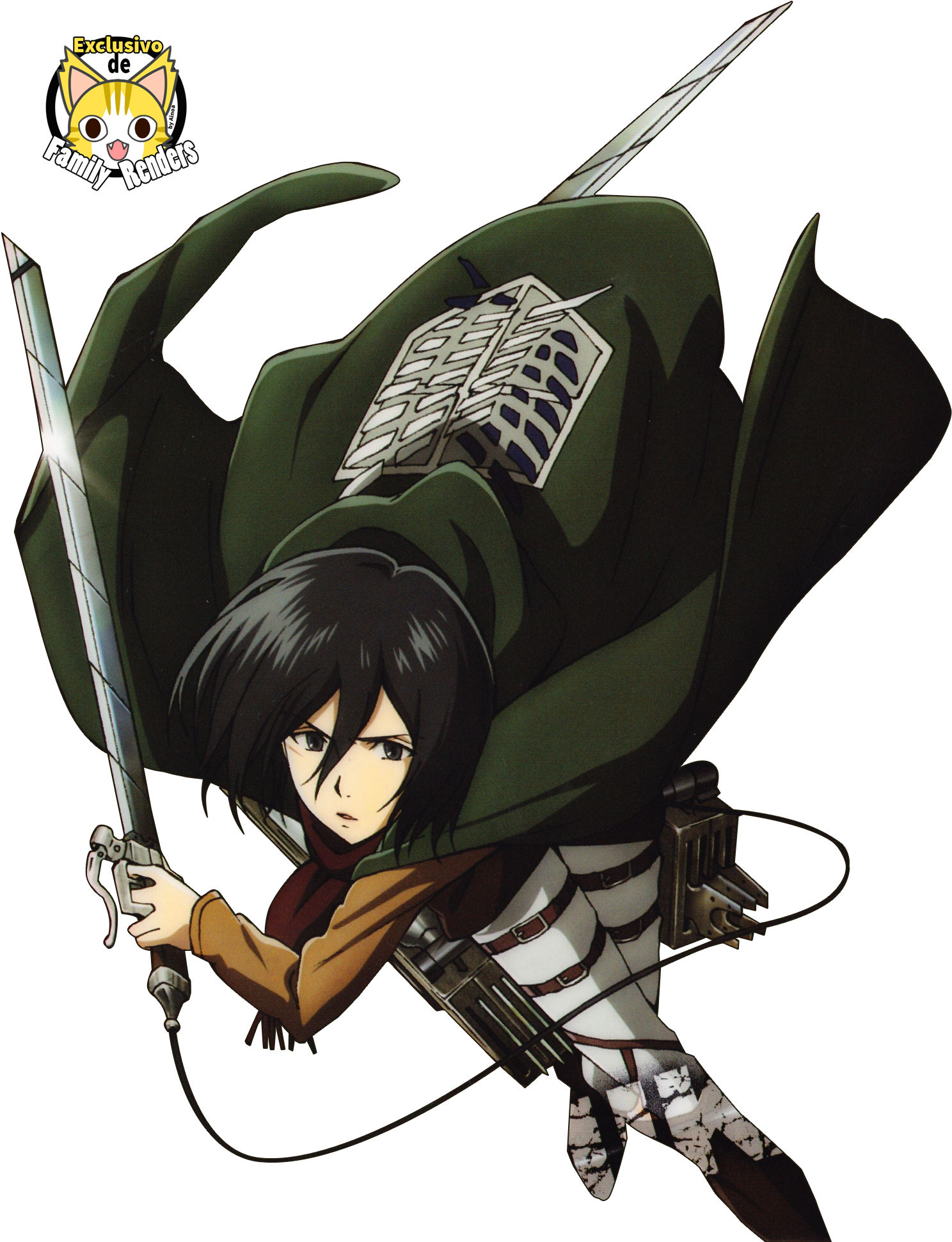Mikasa Ackerman en pose de acción Fondos de pantalla
