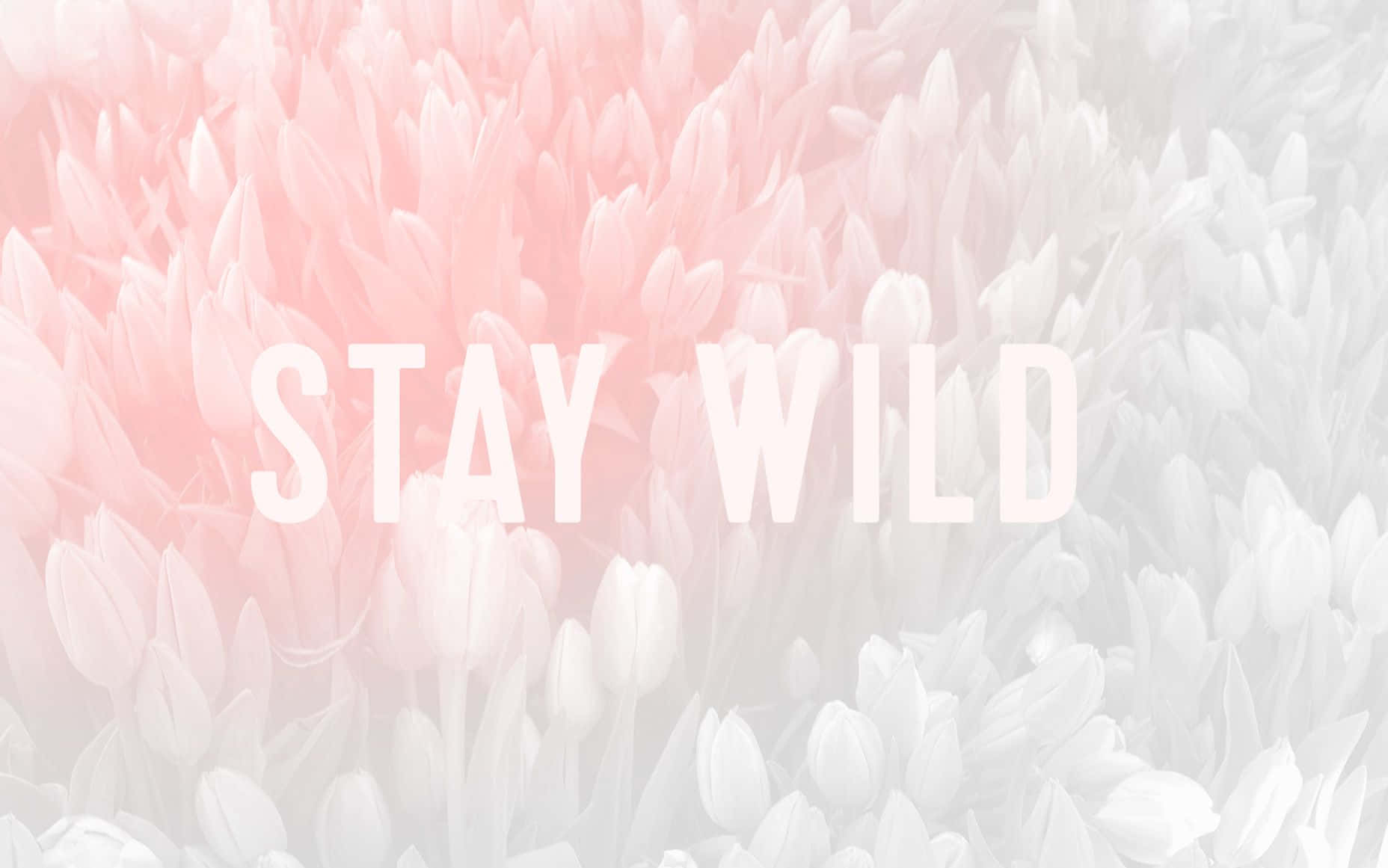 Mímate con este lindo fondo pastel Fondos de pantalla