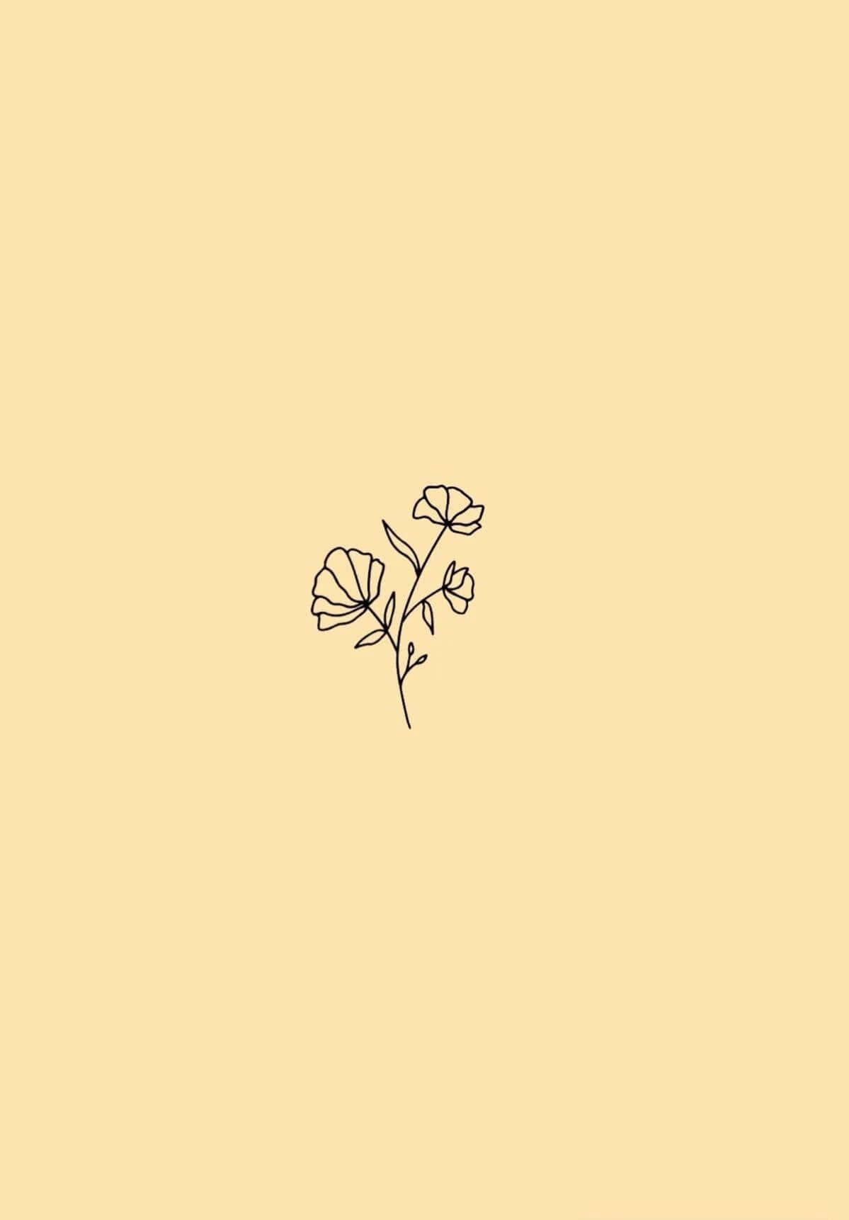 "Minimalismo Estético: El Arte de Vivir con lo Esencial" Fondos de pantalla