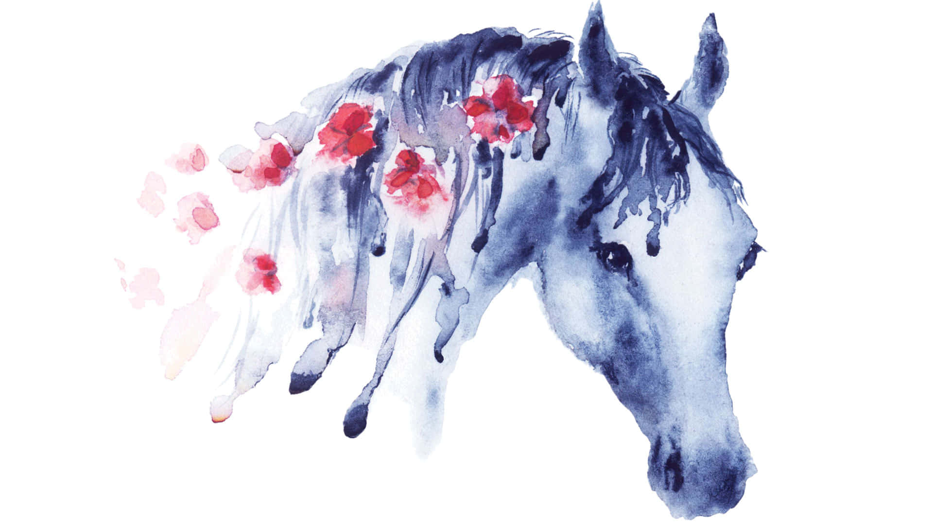 ¡Mira Este Caballo Adorable! Fondos de pantalla