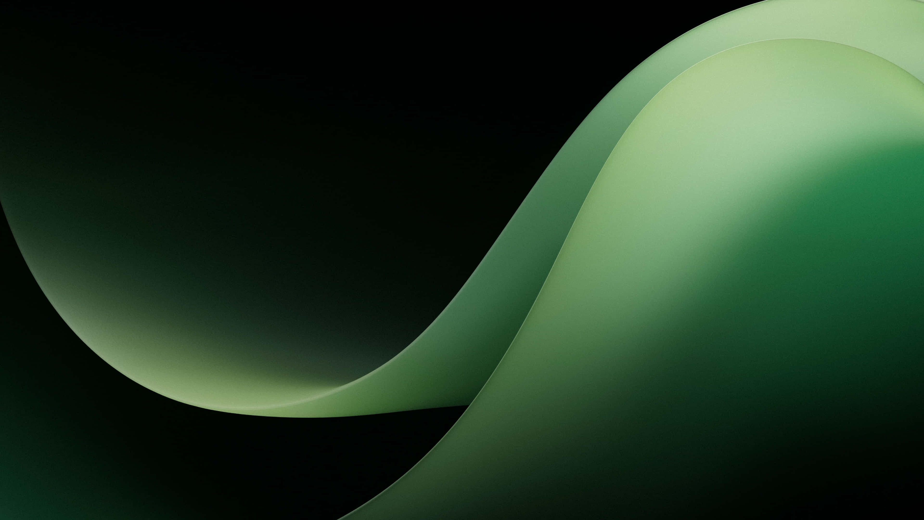 Mira este hermoso fondo verde oscuro Fondos de pantalla