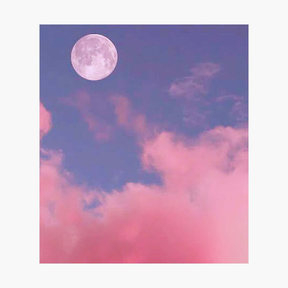 Mira hacia arriba y contempla la belleza del cielo estético. Fondos de pantalla