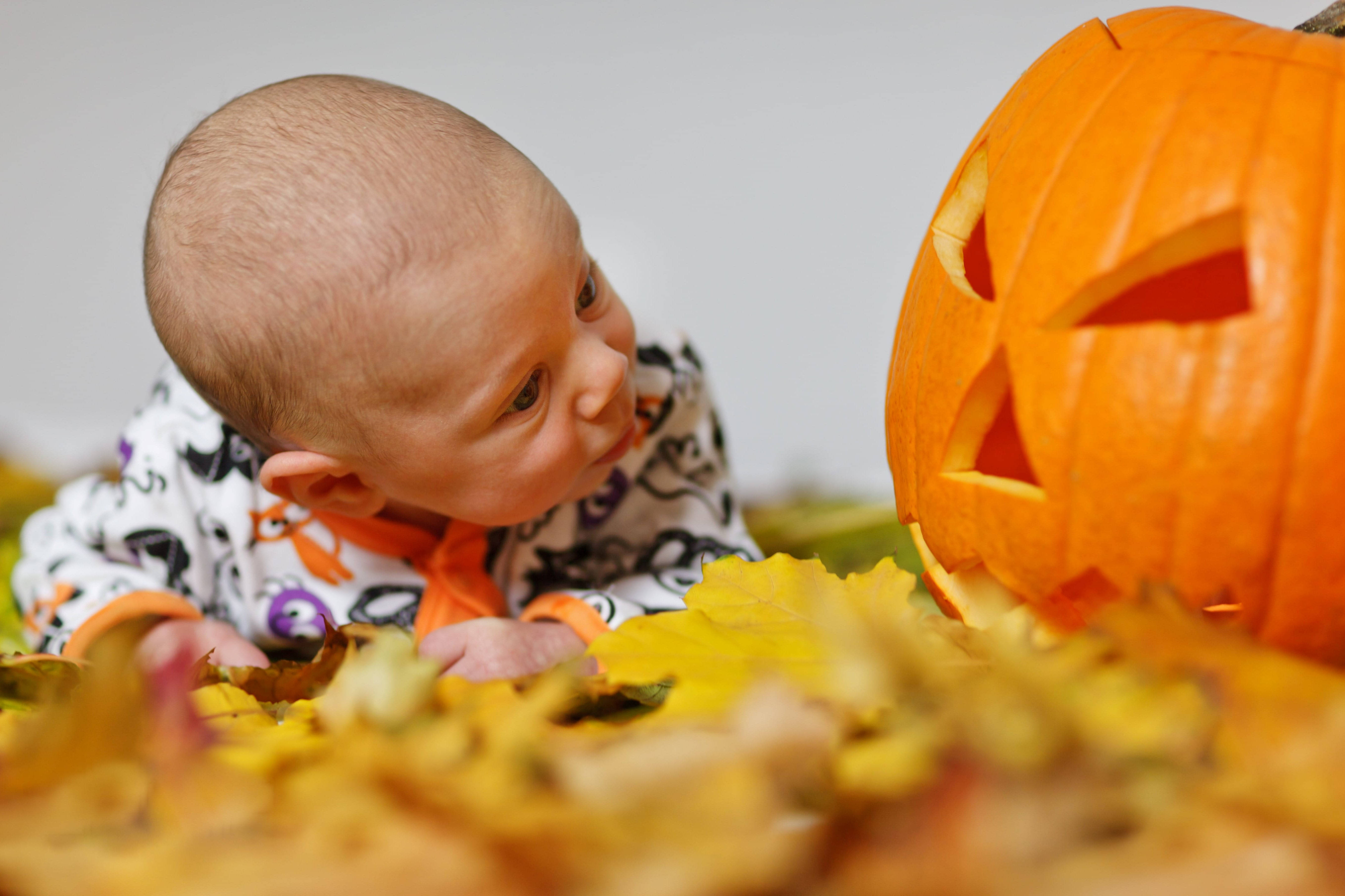 Mirada de Bebé y Calabaza de Halloween Fondos de pantalla