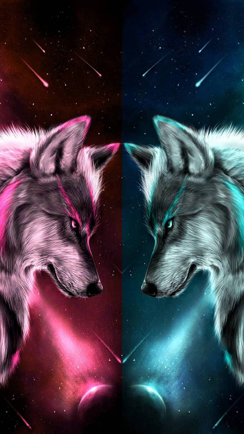 Mirada intensa de lobo galáctico rosa y azul Fondos de pantalla