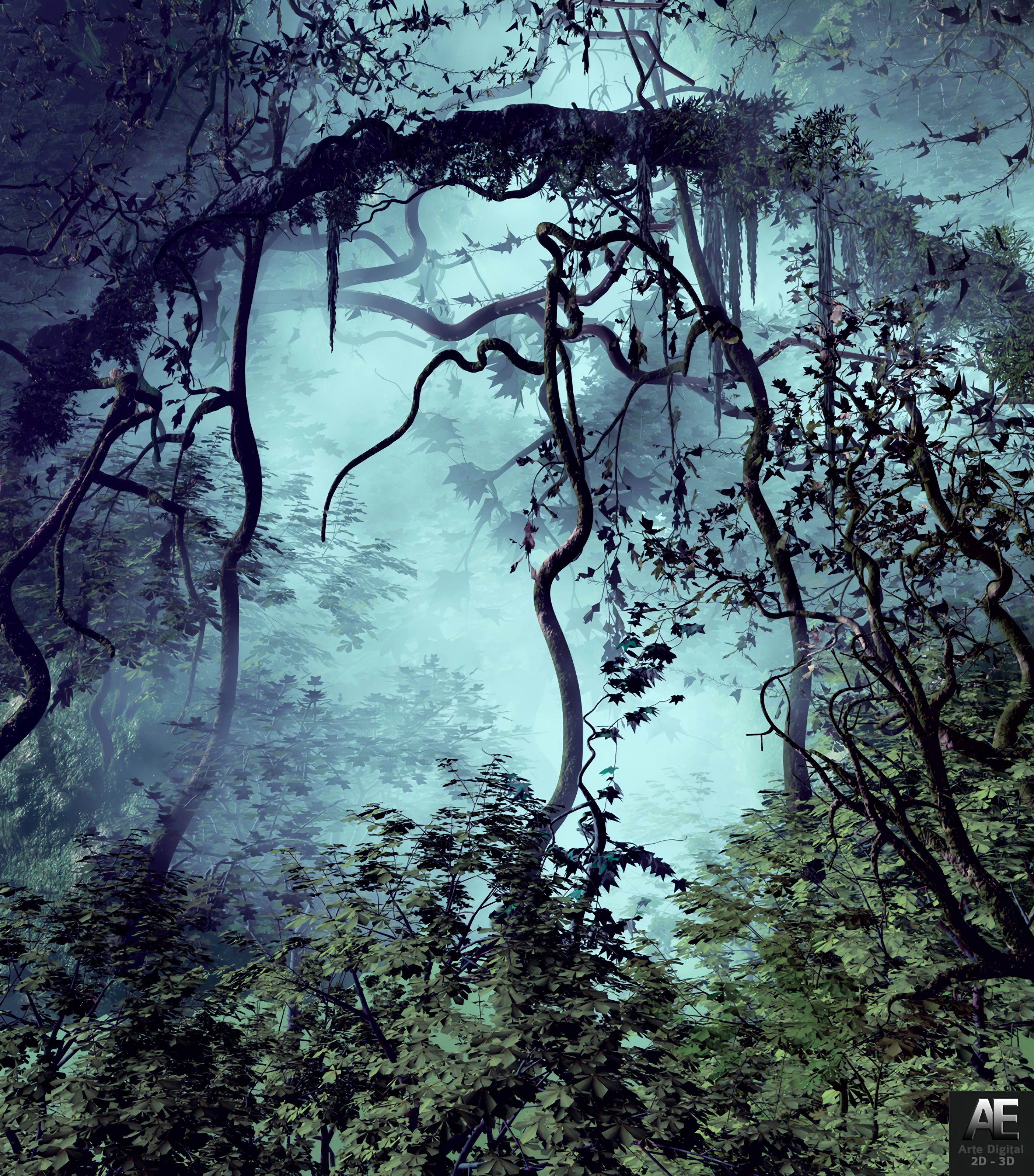 Misterio brumoso de la jungla Fondos de pantalla