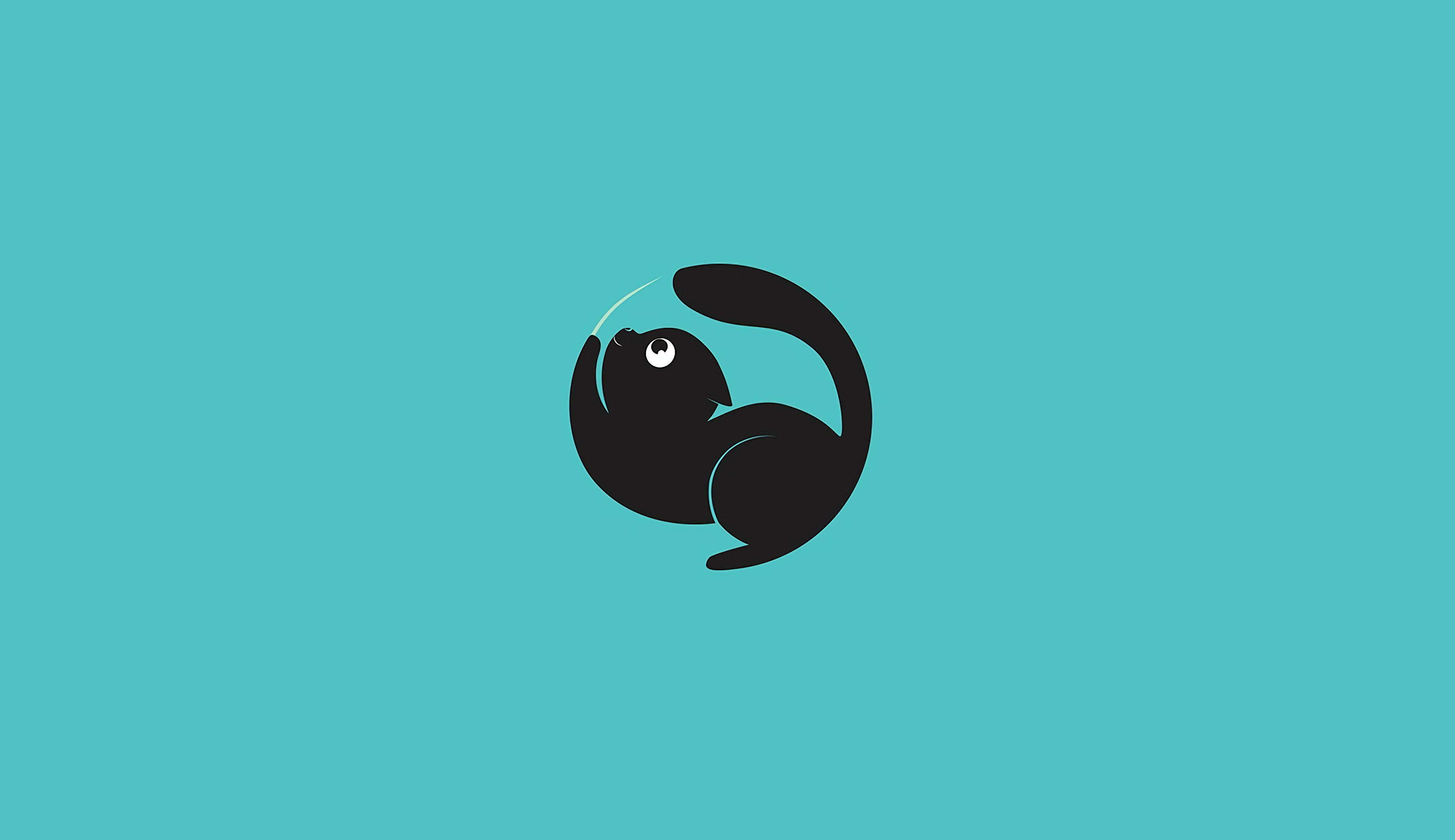 Misterioso gato negro en la pantalla de bloqueo de la computadora Fondos de pantalla